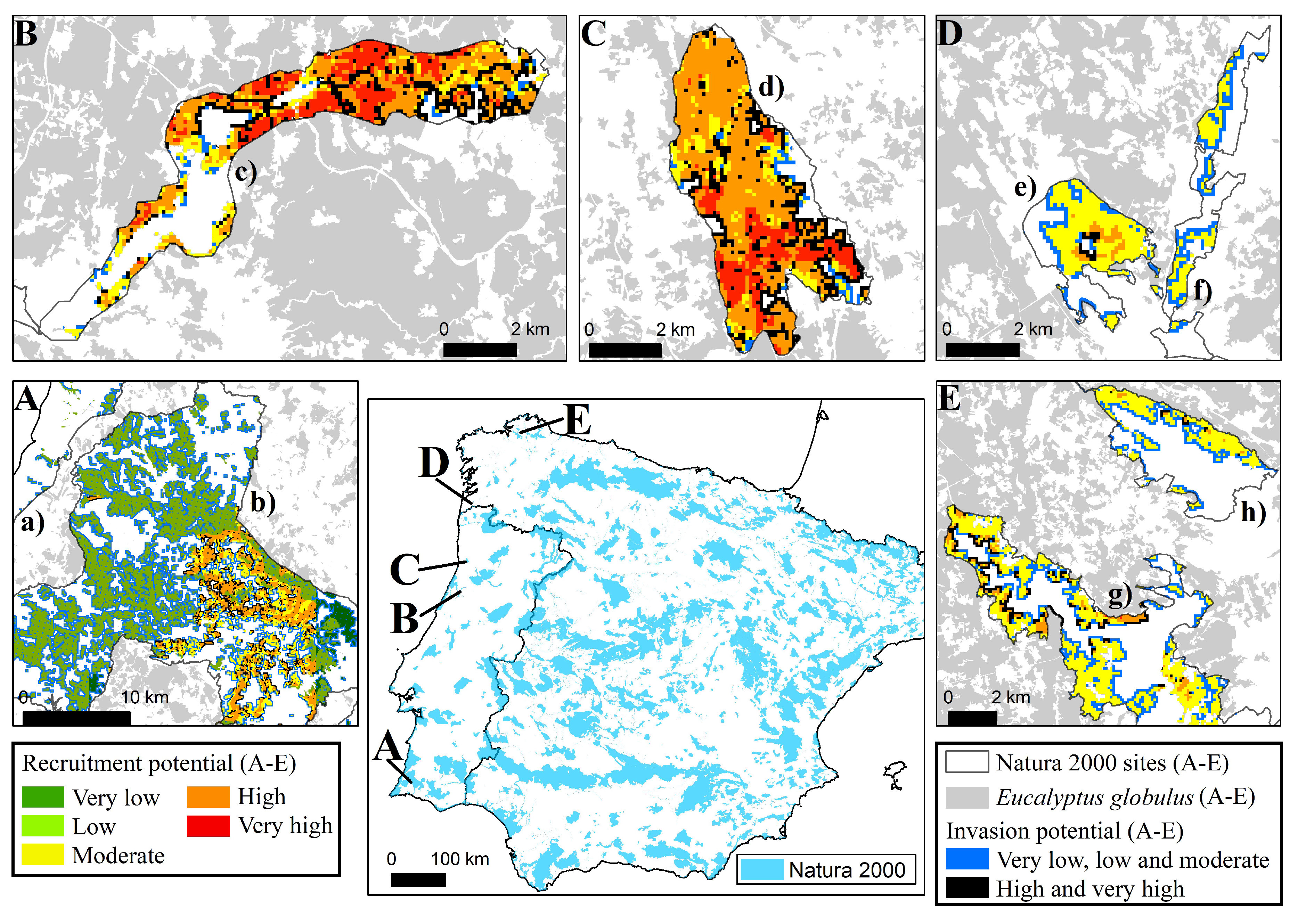 Forests 13 01199 g004
