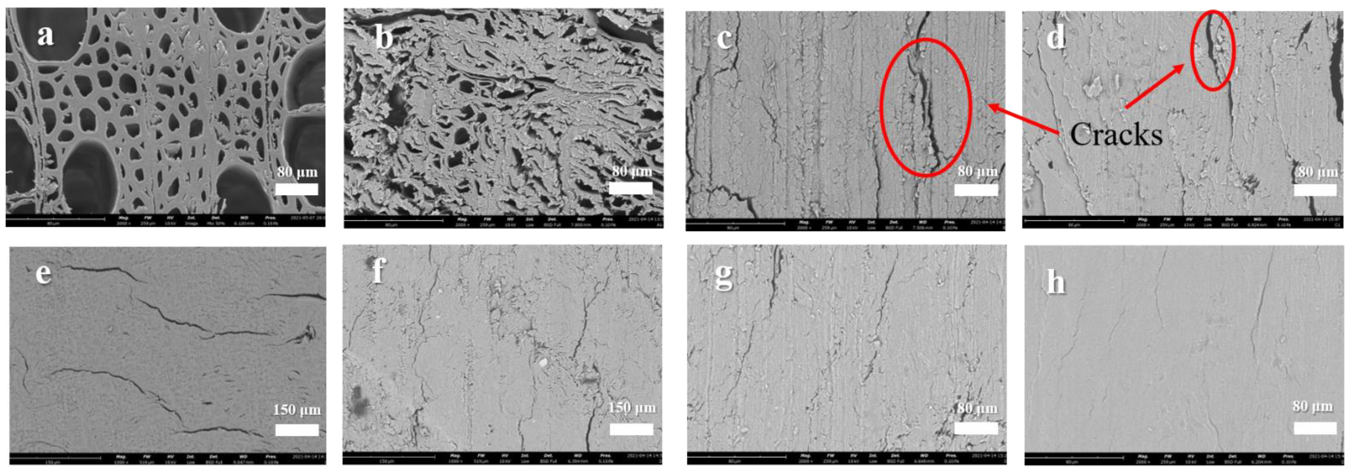 Forests 13 01204 g002