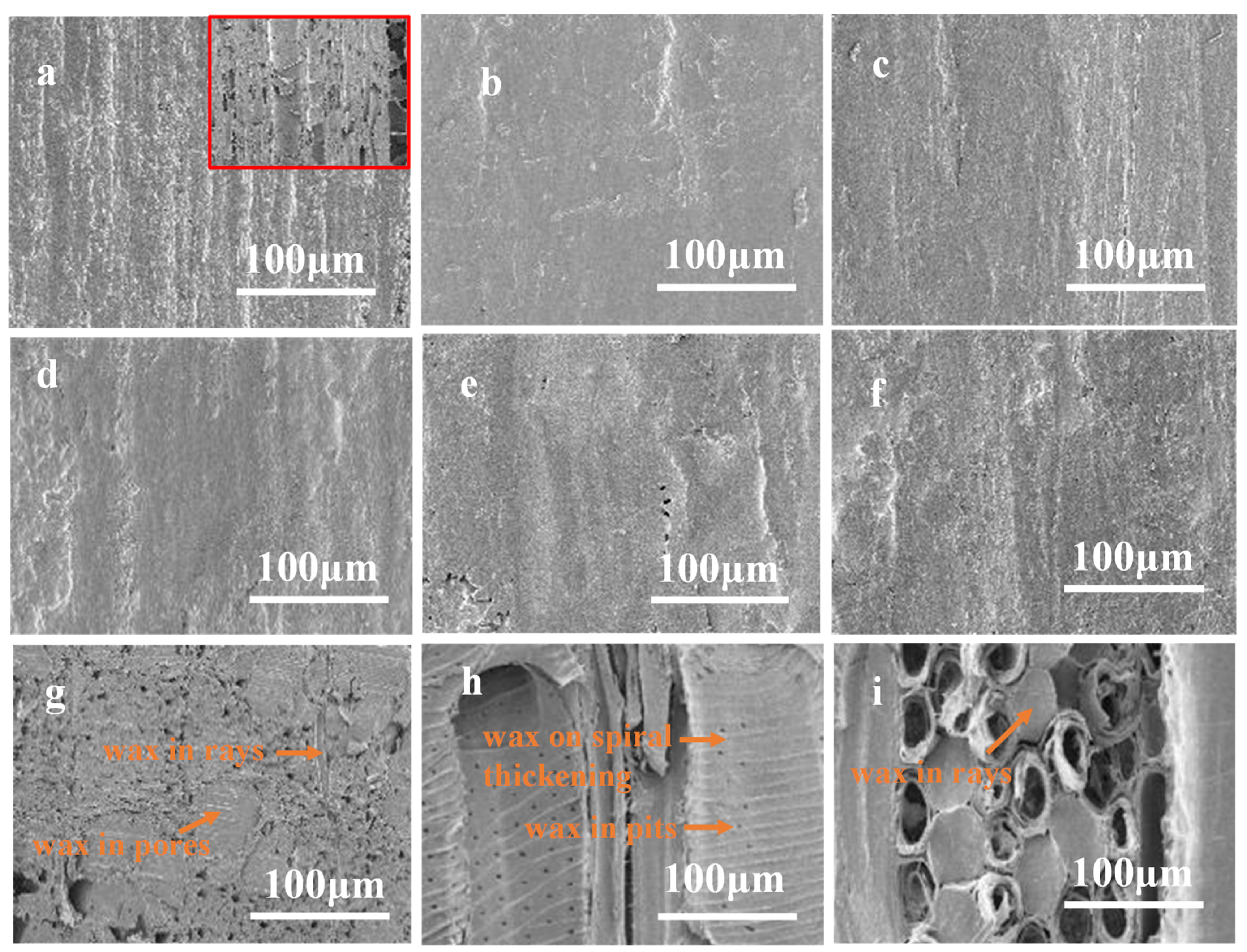 Forests 13 01205 g008 Forests 13 01205 g008