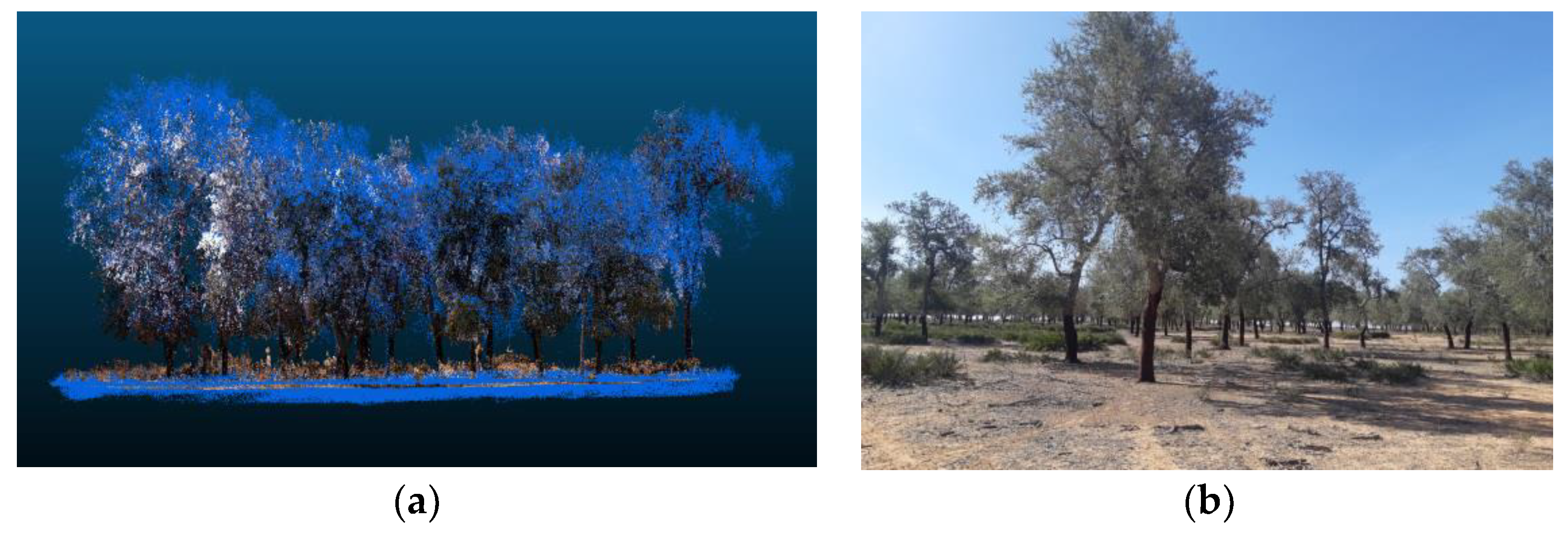 Forests 13 01211 g006 Forests 13 01211 g006