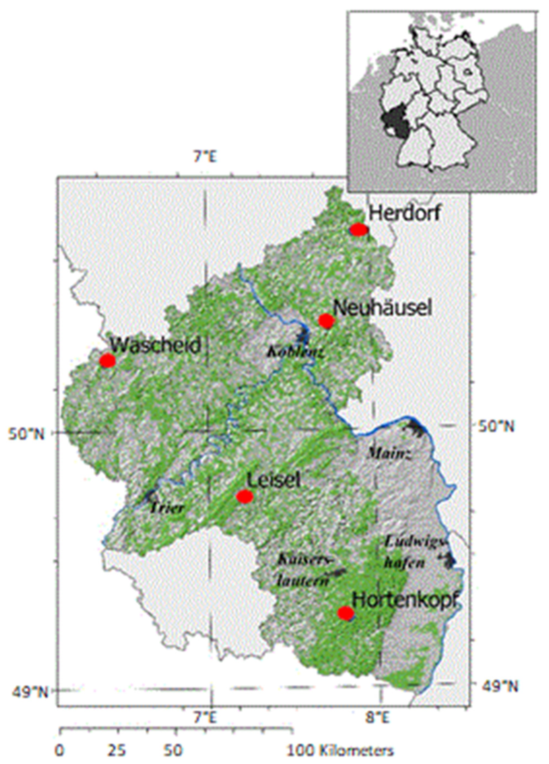 Forests 13 01215 g001