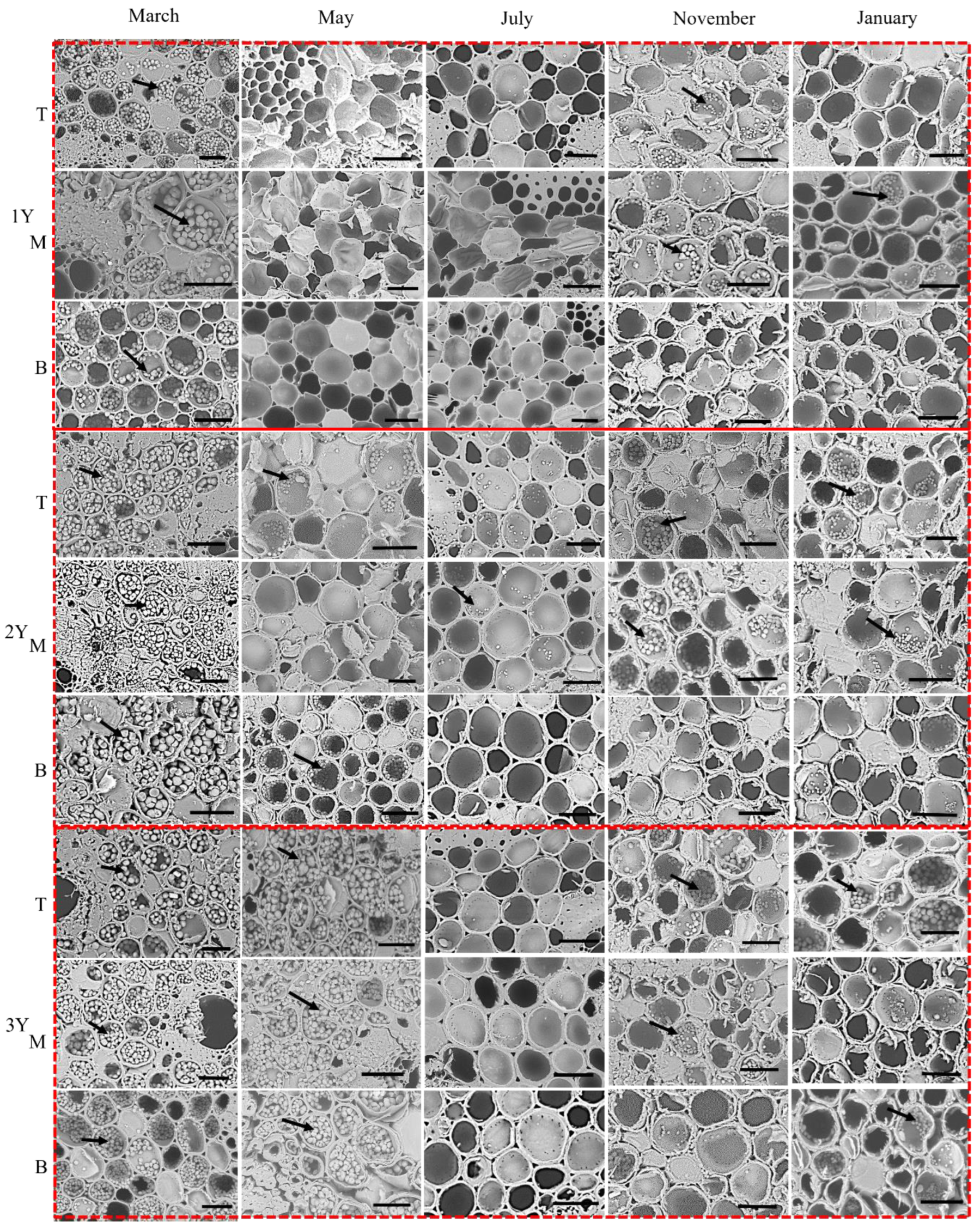 Forests 13 01218 g006