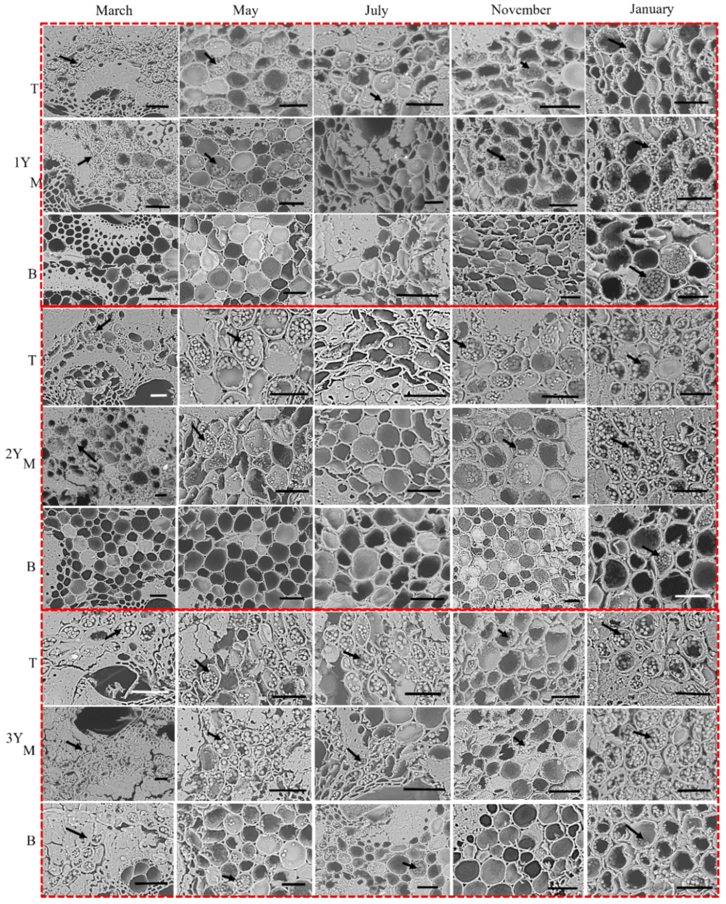 Forests 13 01218 g007