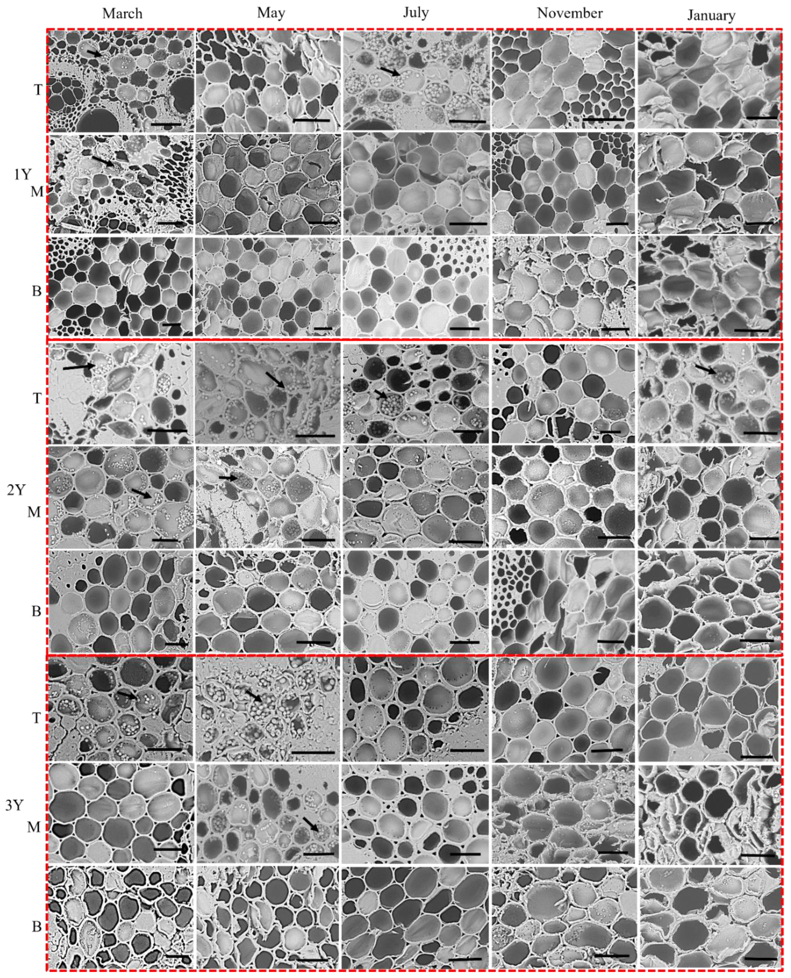 Forests 13 01218 g008