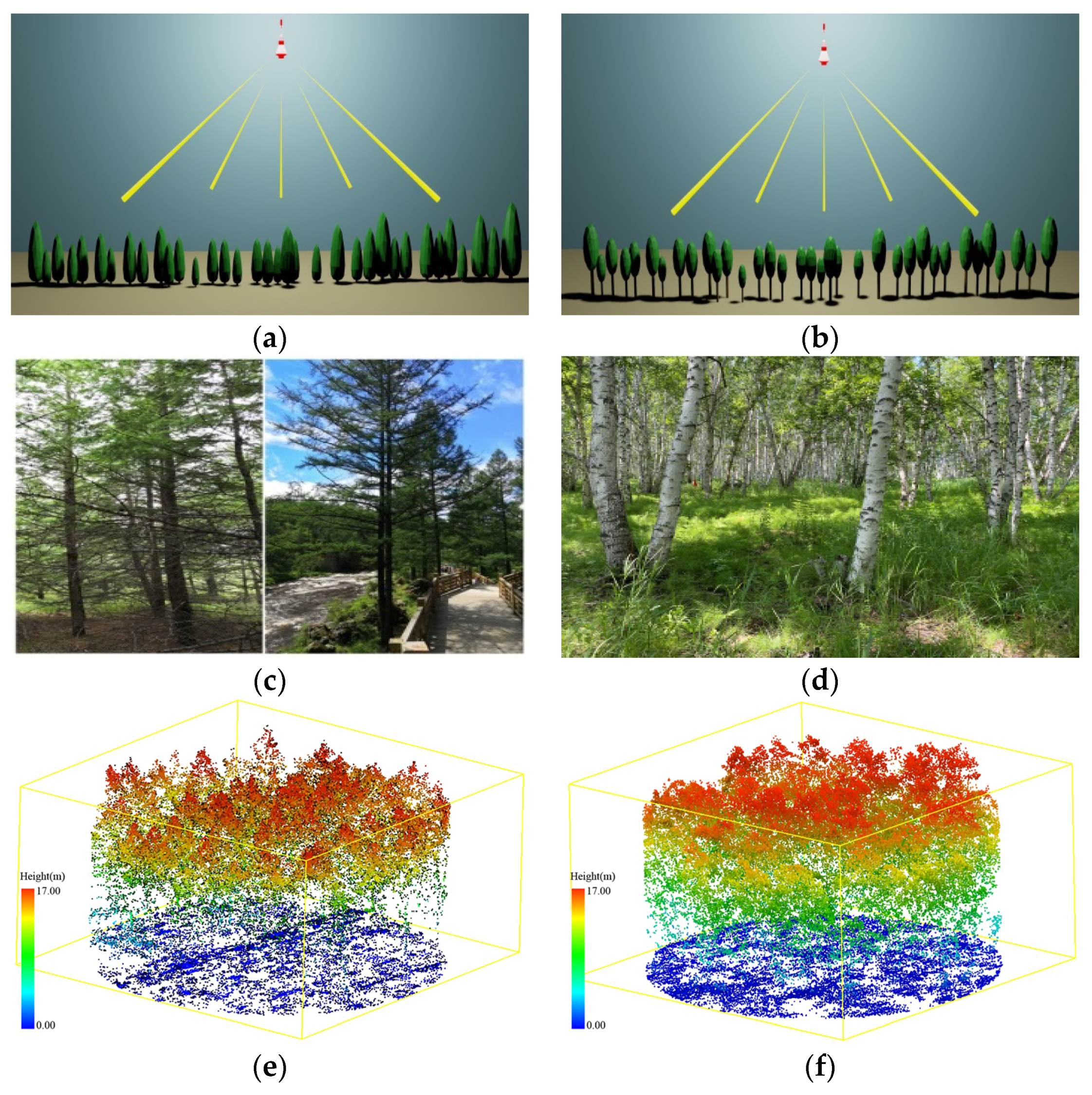 Forests 13 01221 g001