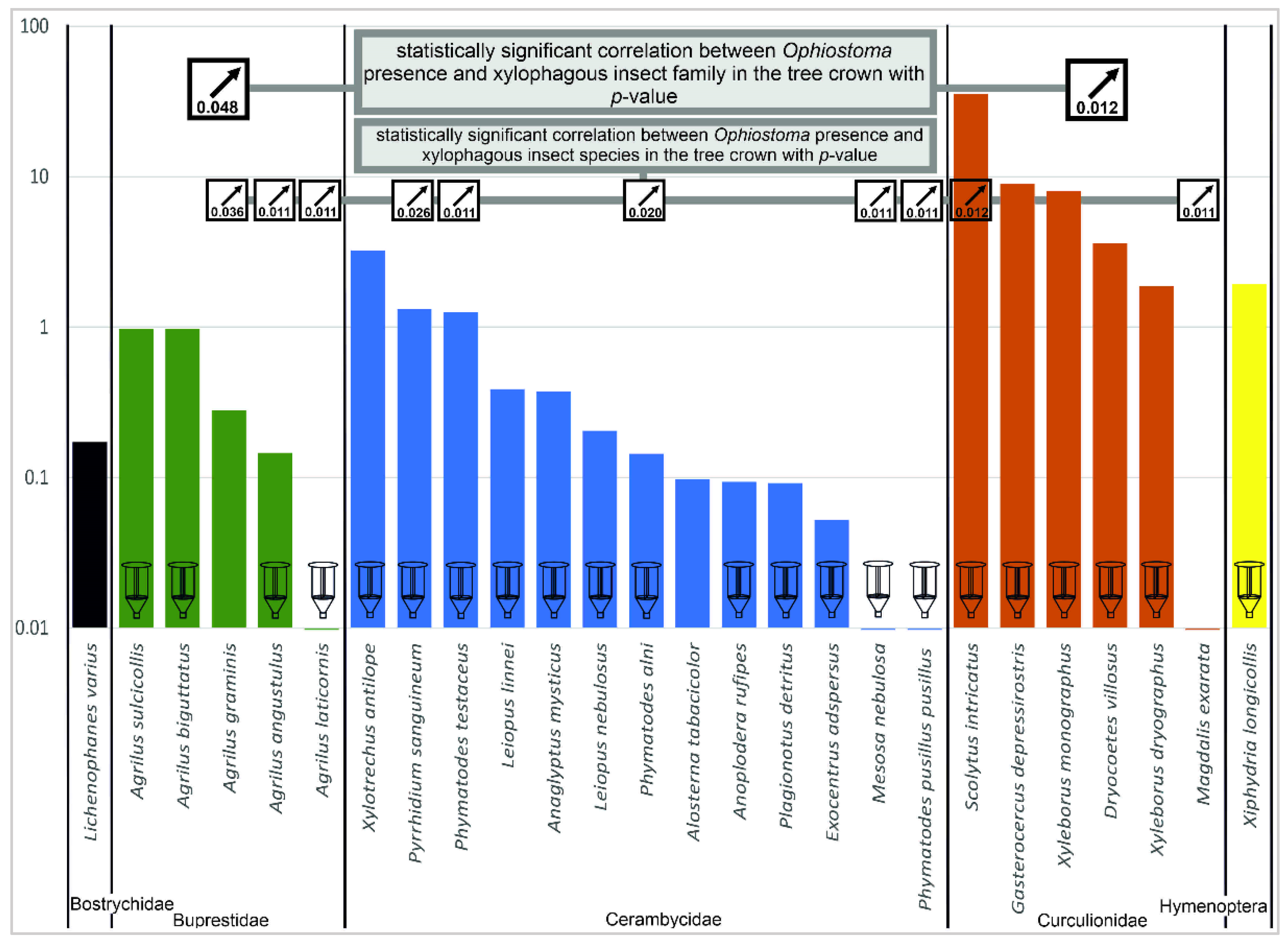 Forests 13 01223 g003
