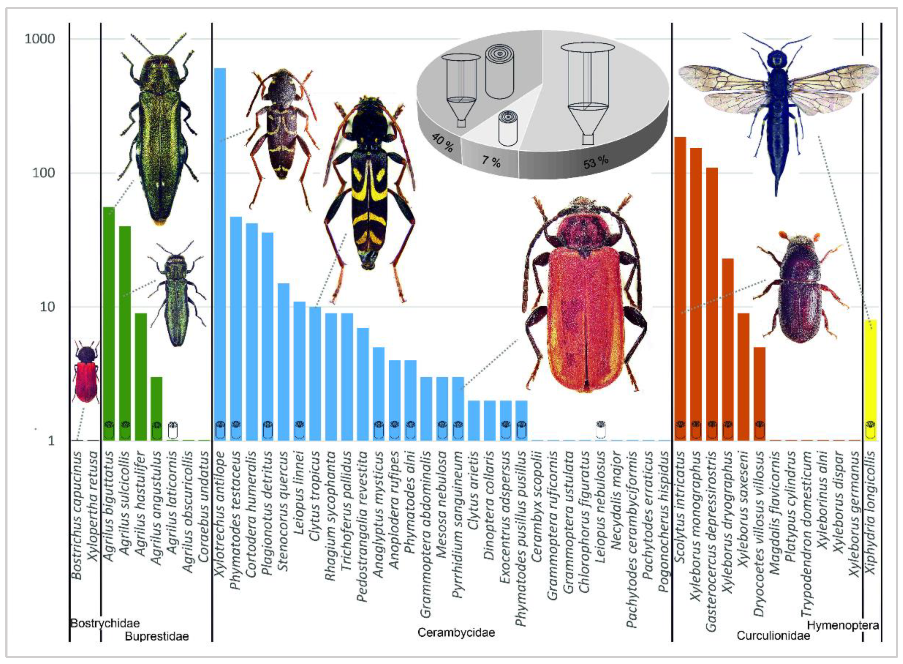 Forests 13 01223 g004