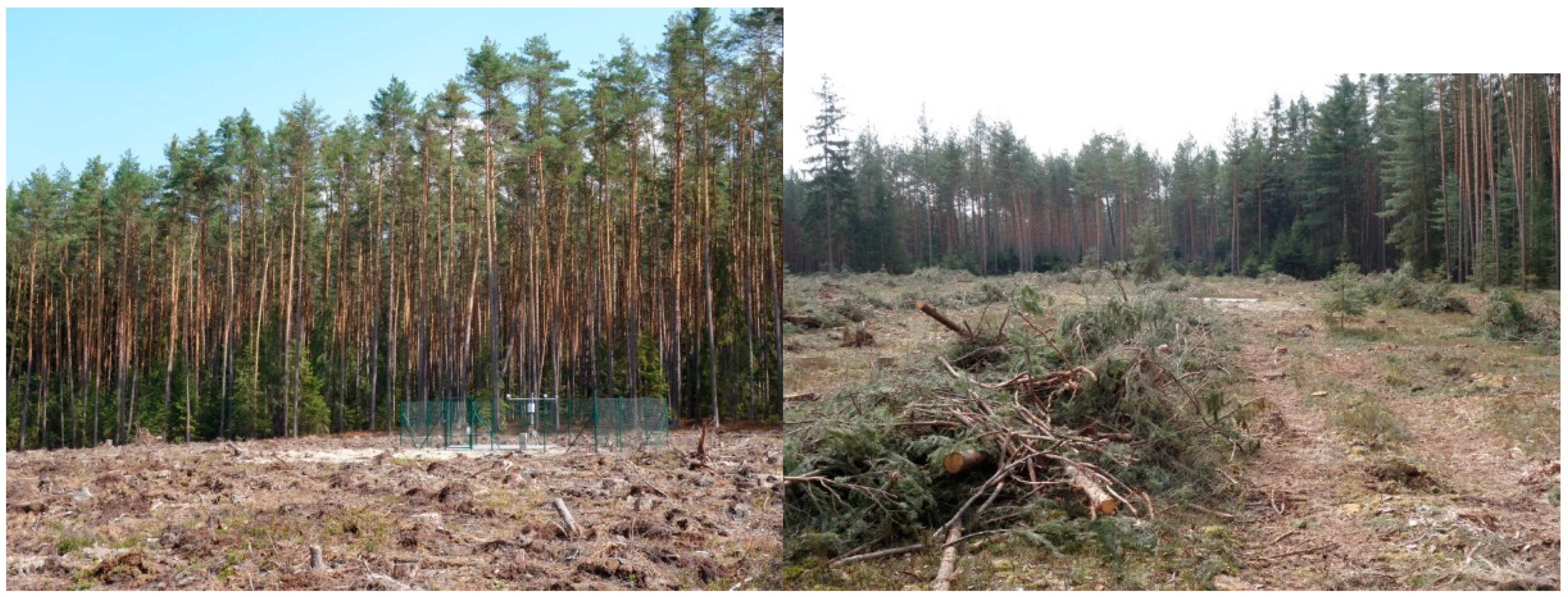 Forests 13 01226 g003