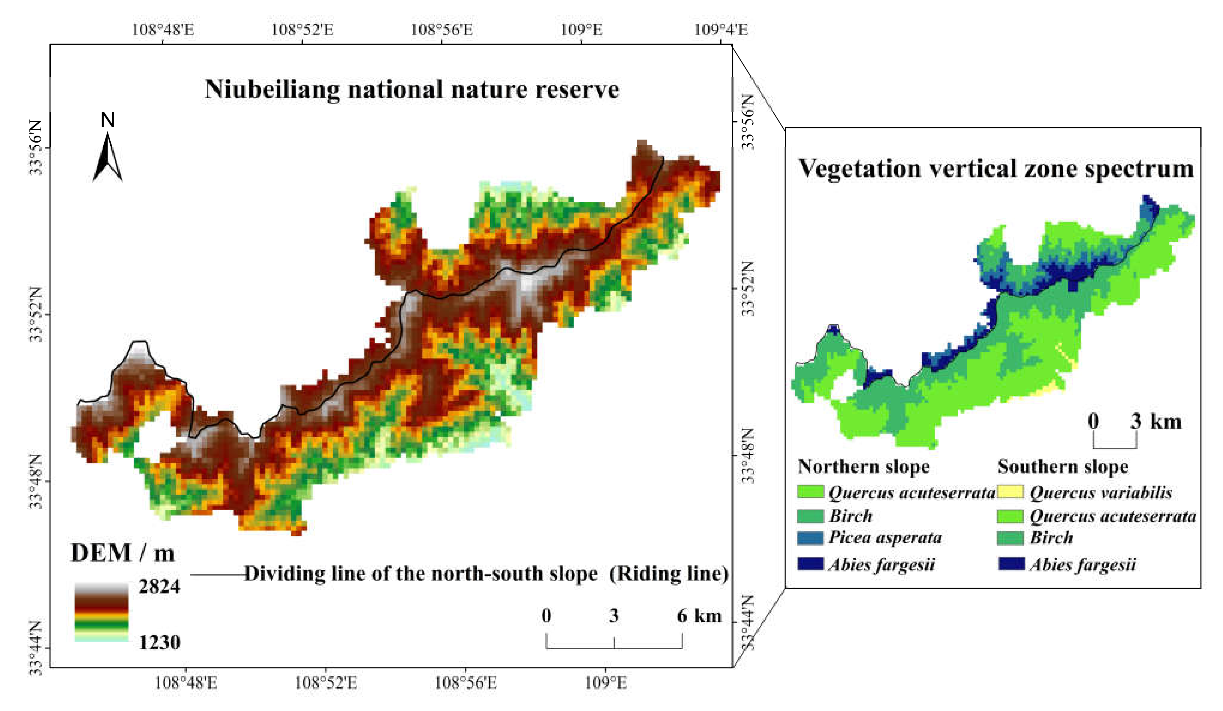 Forests 13 01229 g001
