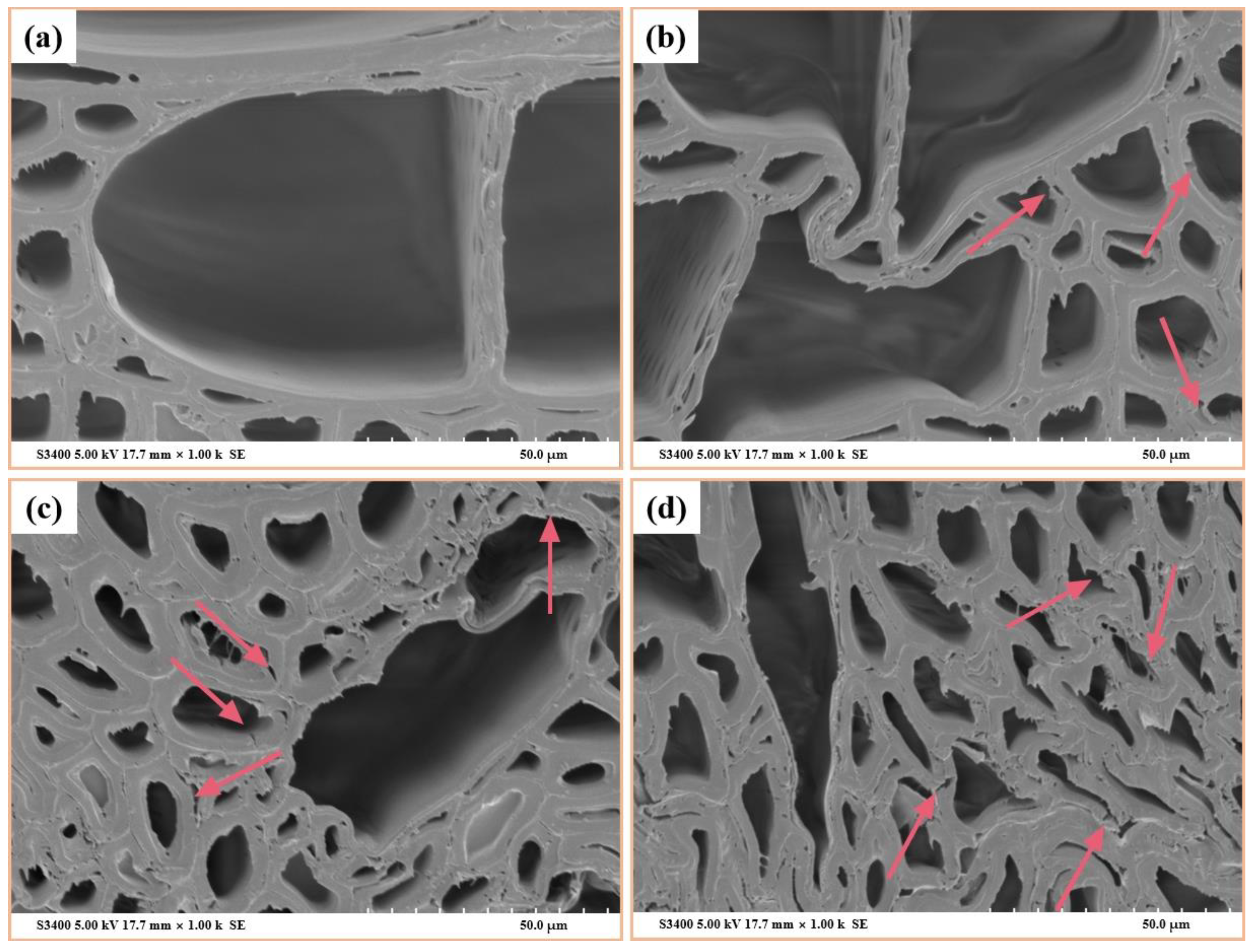 Forests 13 01230 g007