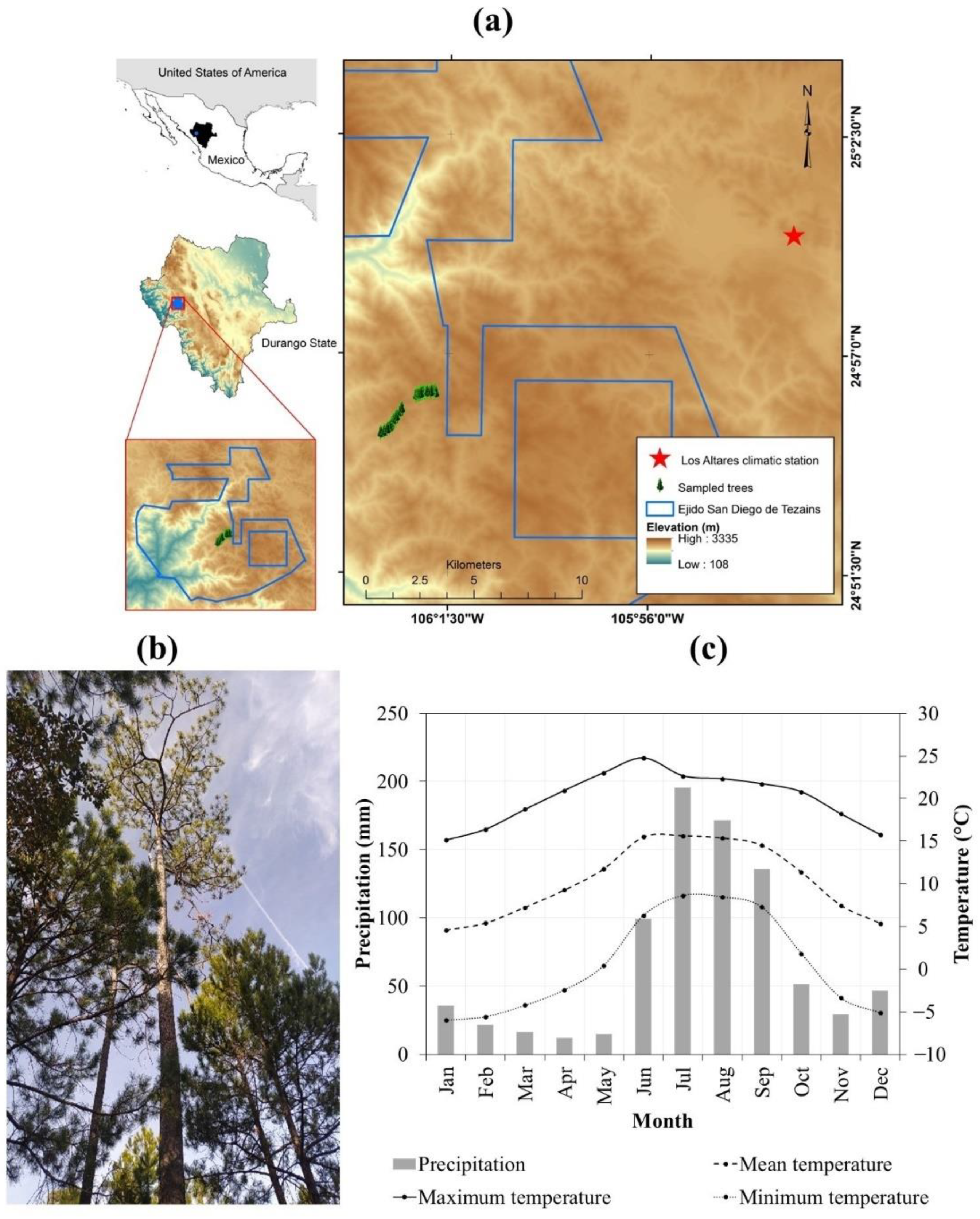 Forests 13 01233 g001