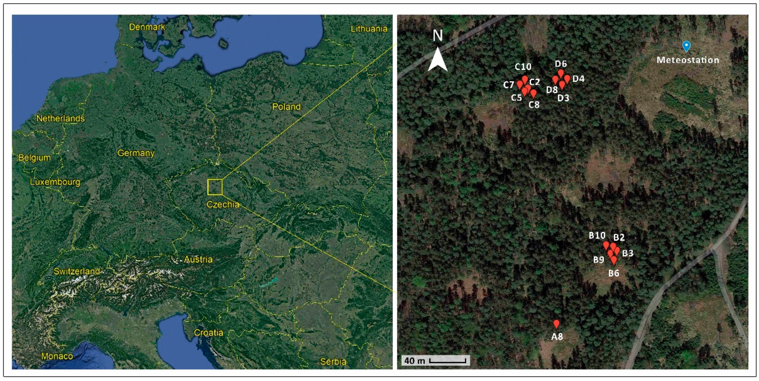 Forests 13 01238 g001