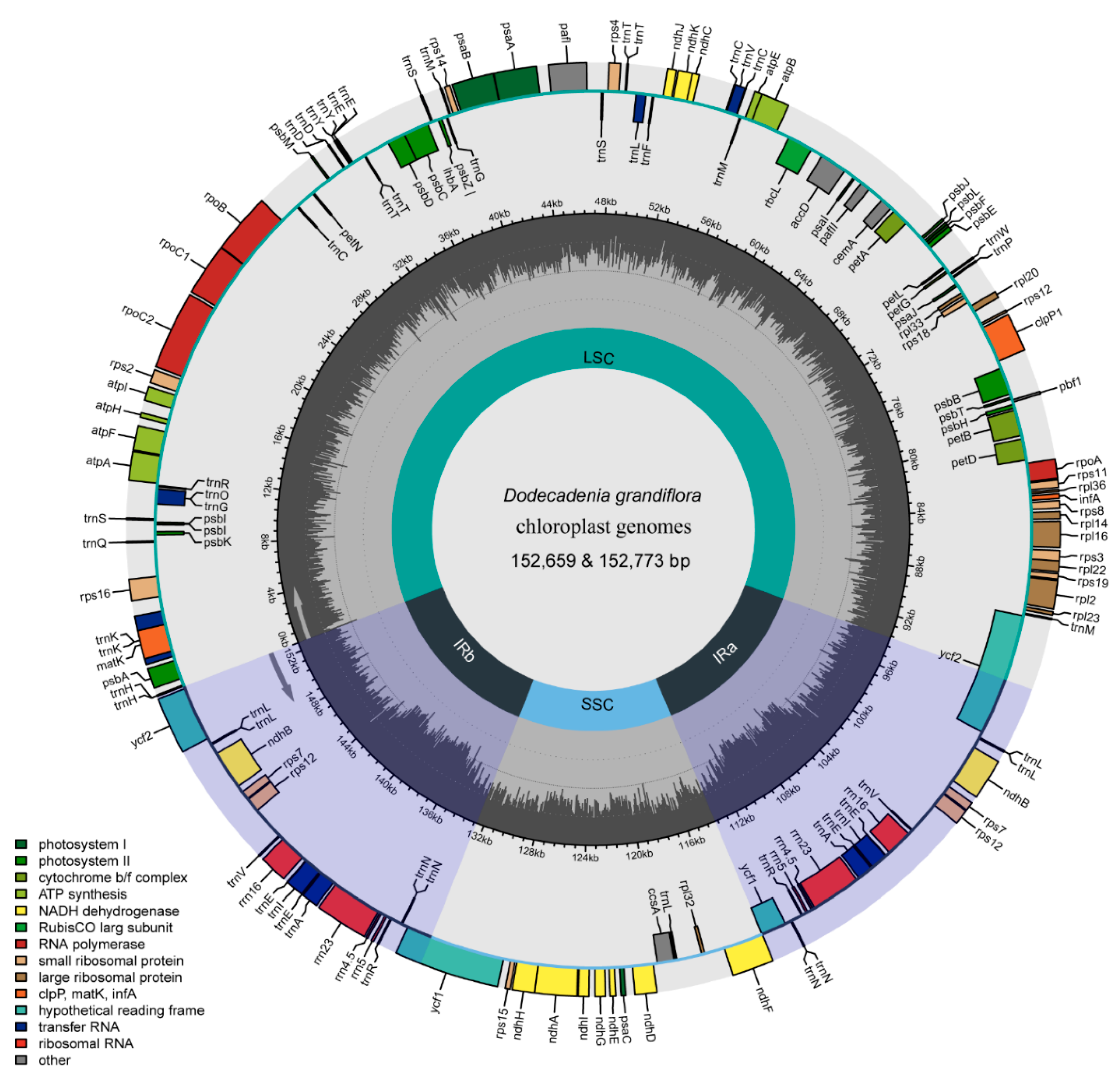Forests 13 01240 g001