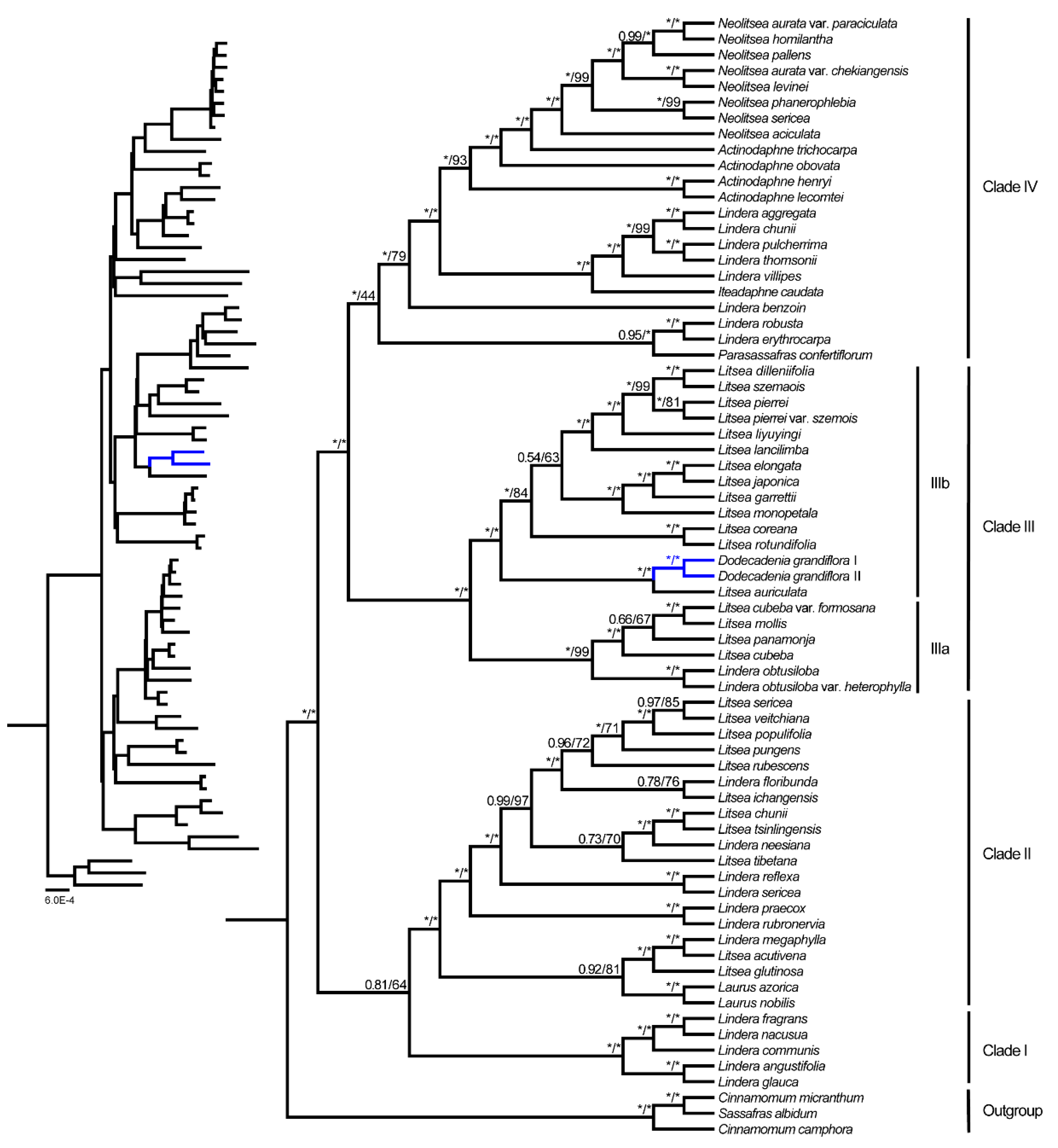 Forests 13 01240 g006