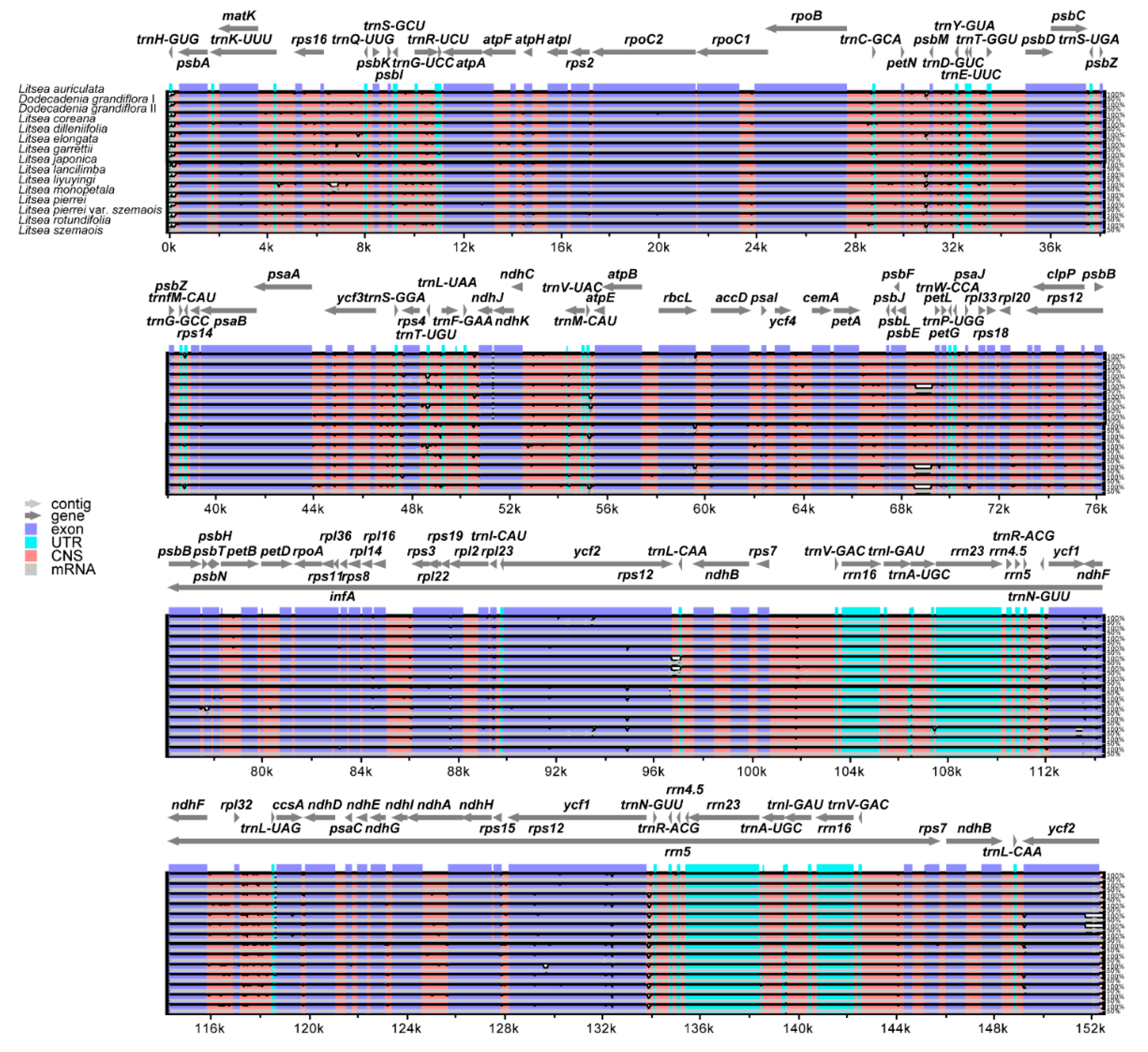 Forests 13 01240 g007