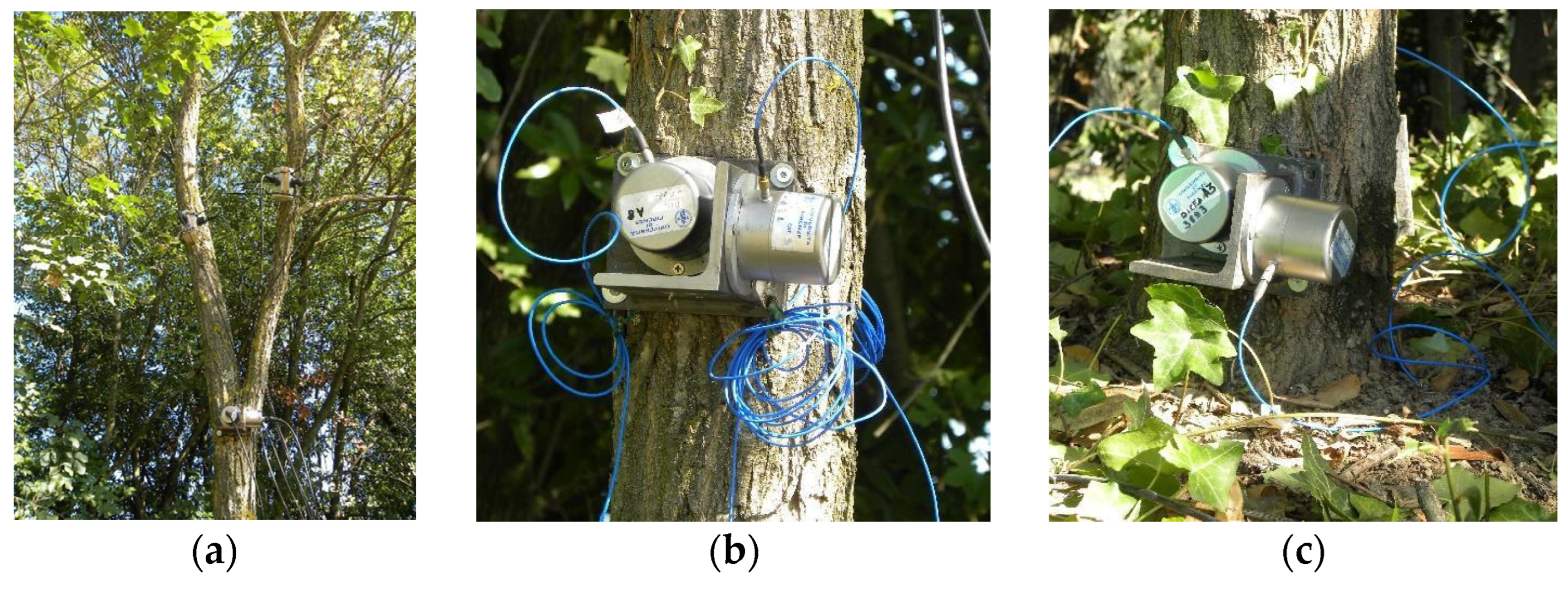 Forests 13 01243 g005