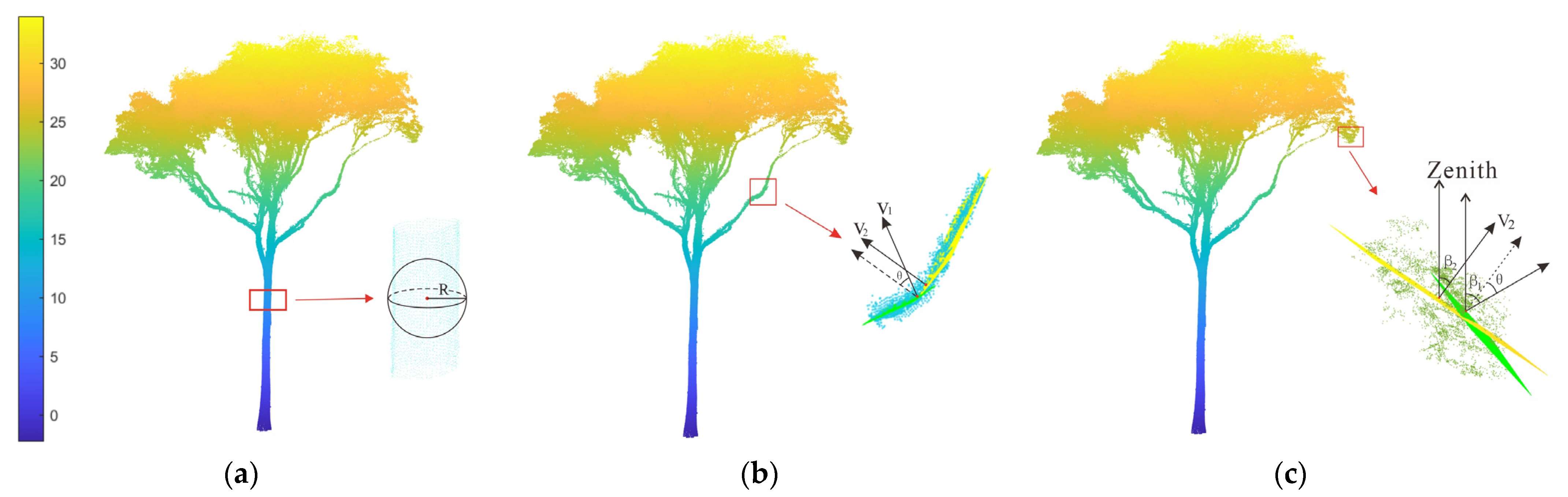 Forests 13 01245 g003