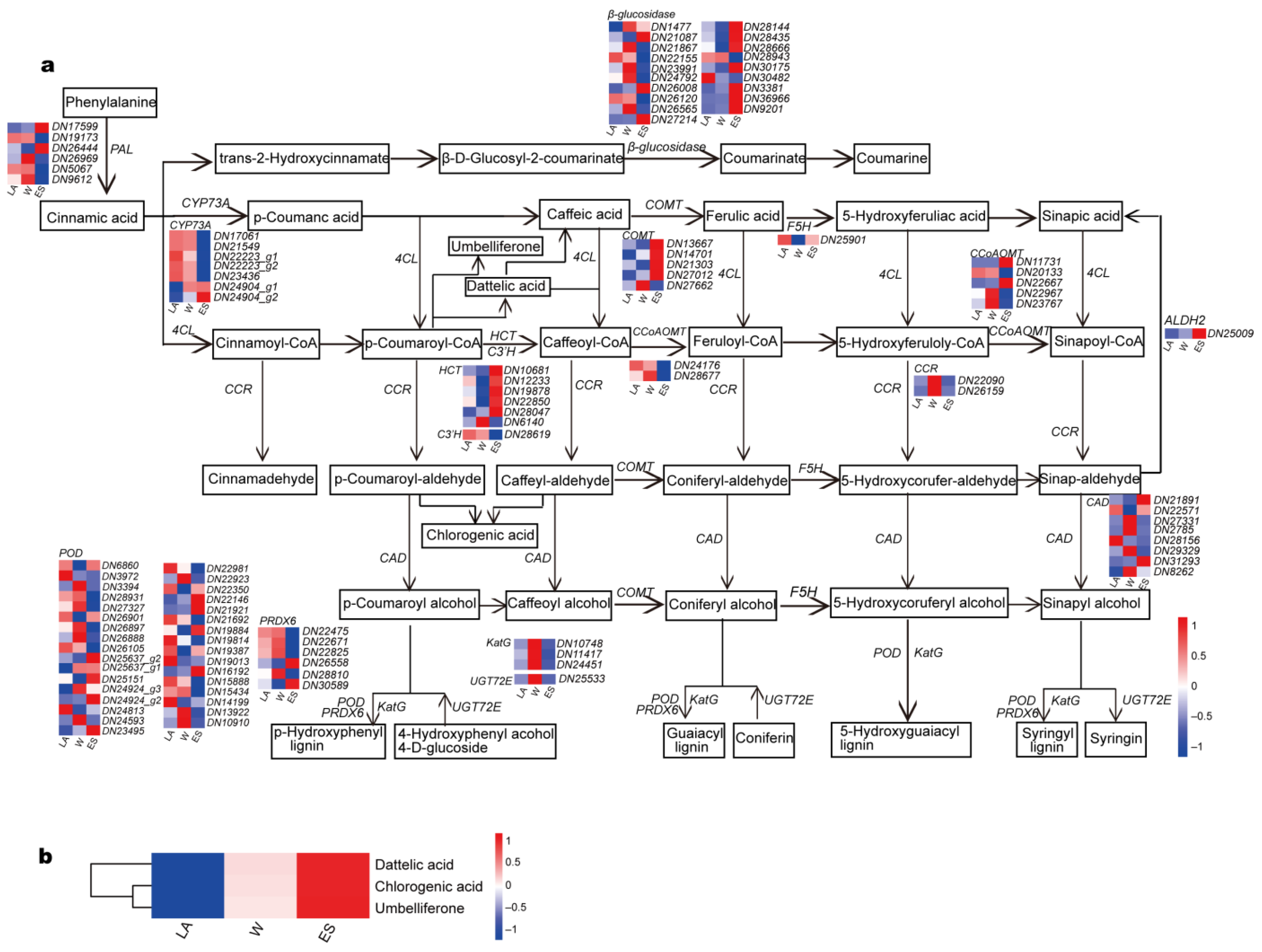 Forests 13 01249 g005