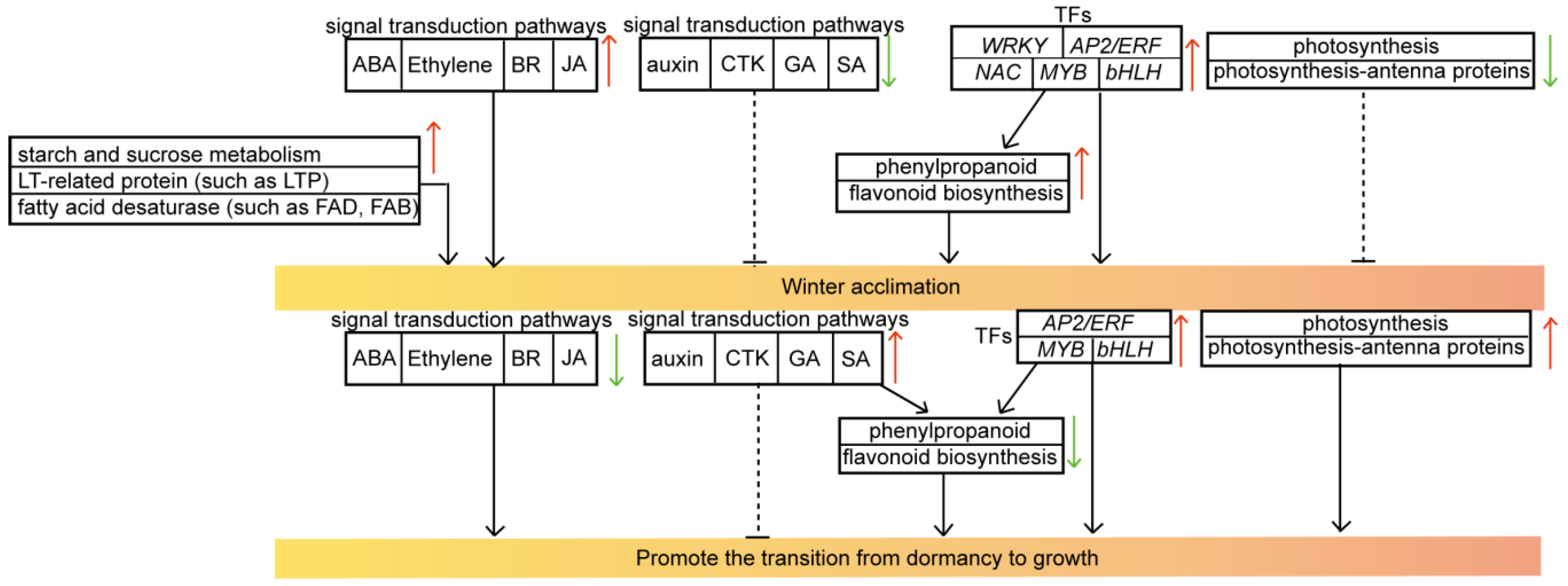 Forests 13 01249 g009