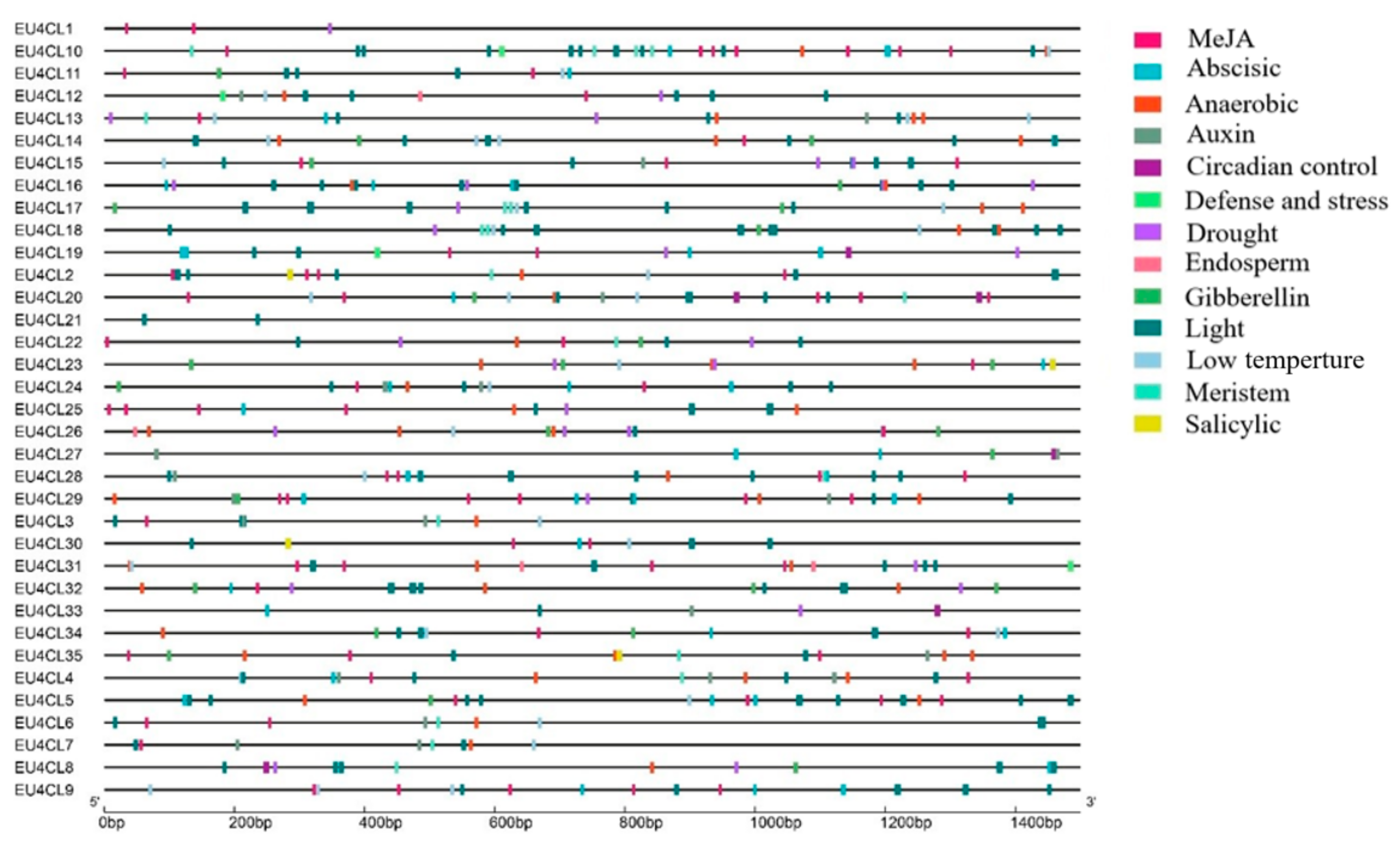 Forests 13 01253 g004