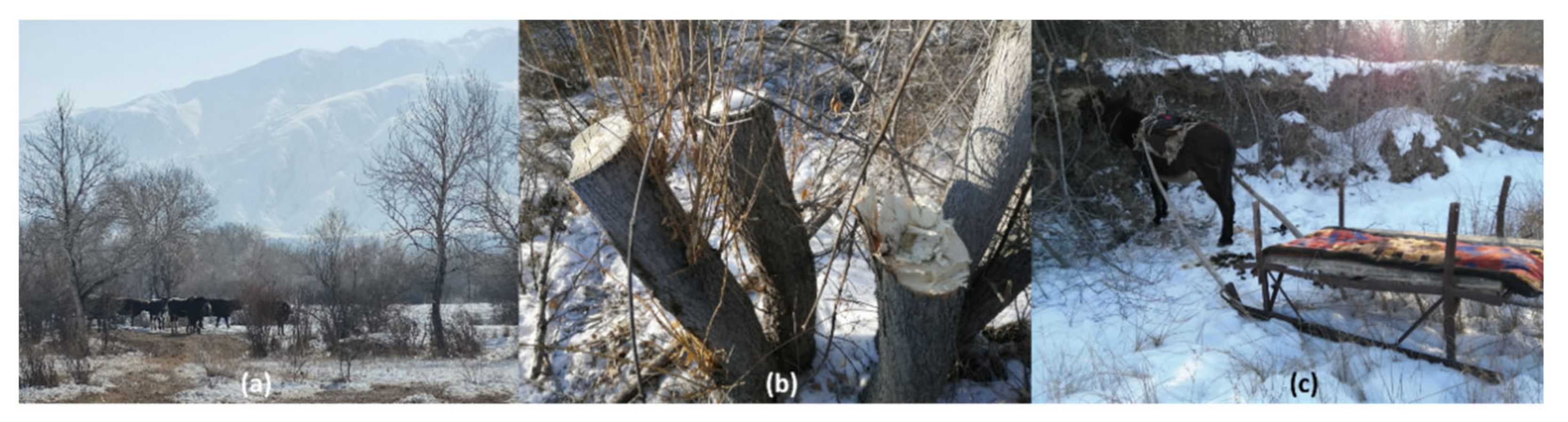 Forests 13 01254 g005