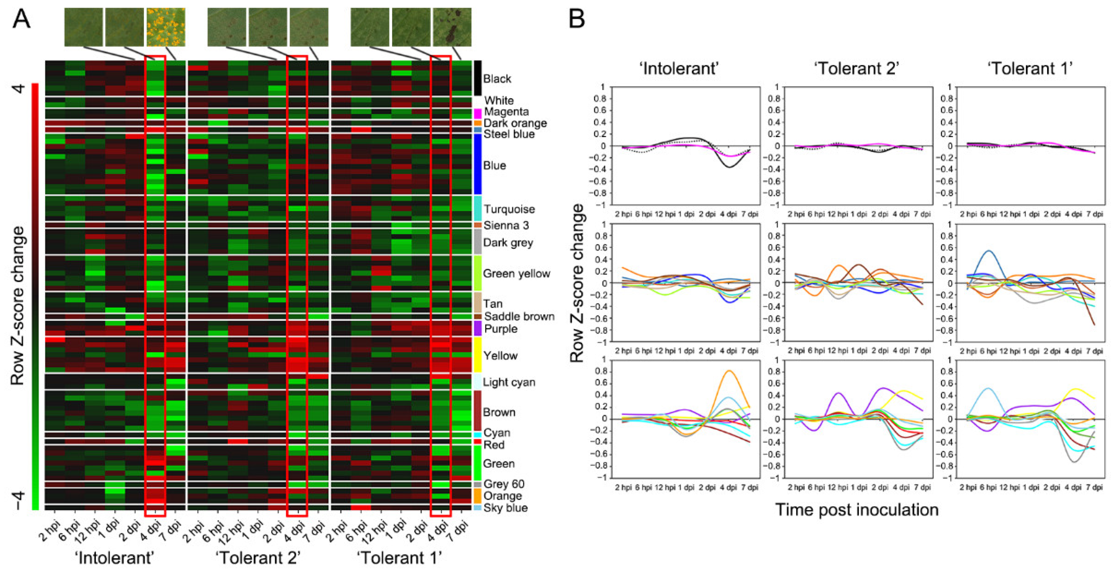 Forests 13 01255 g001