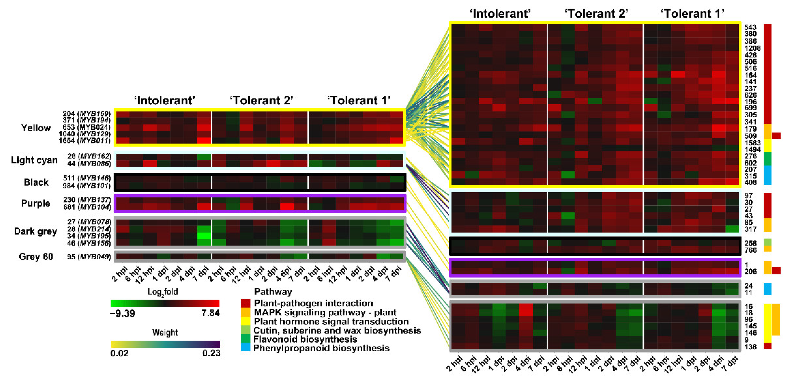 Forests 13 01255 g007