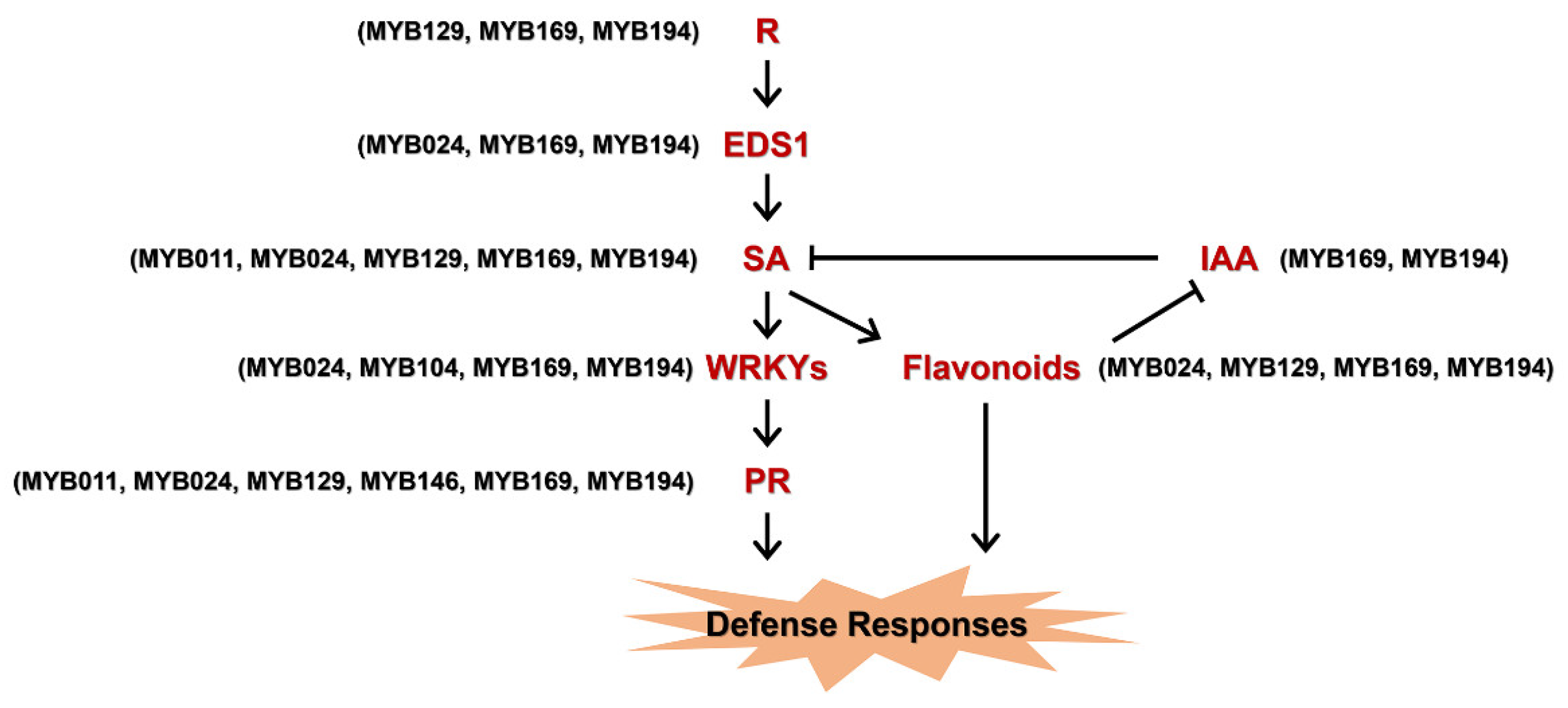Forests 13 01255 g008