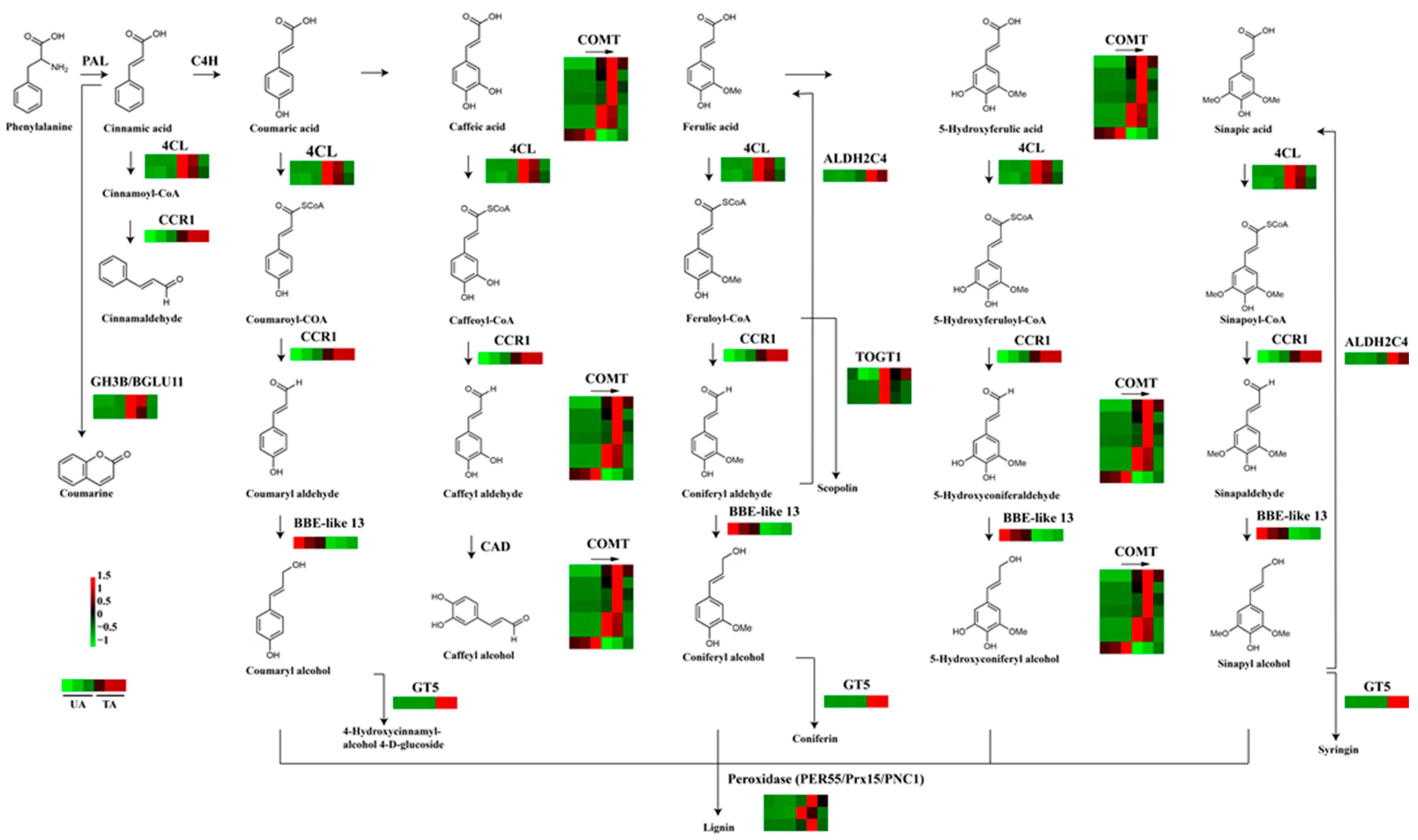 Forests 13 01258 g003