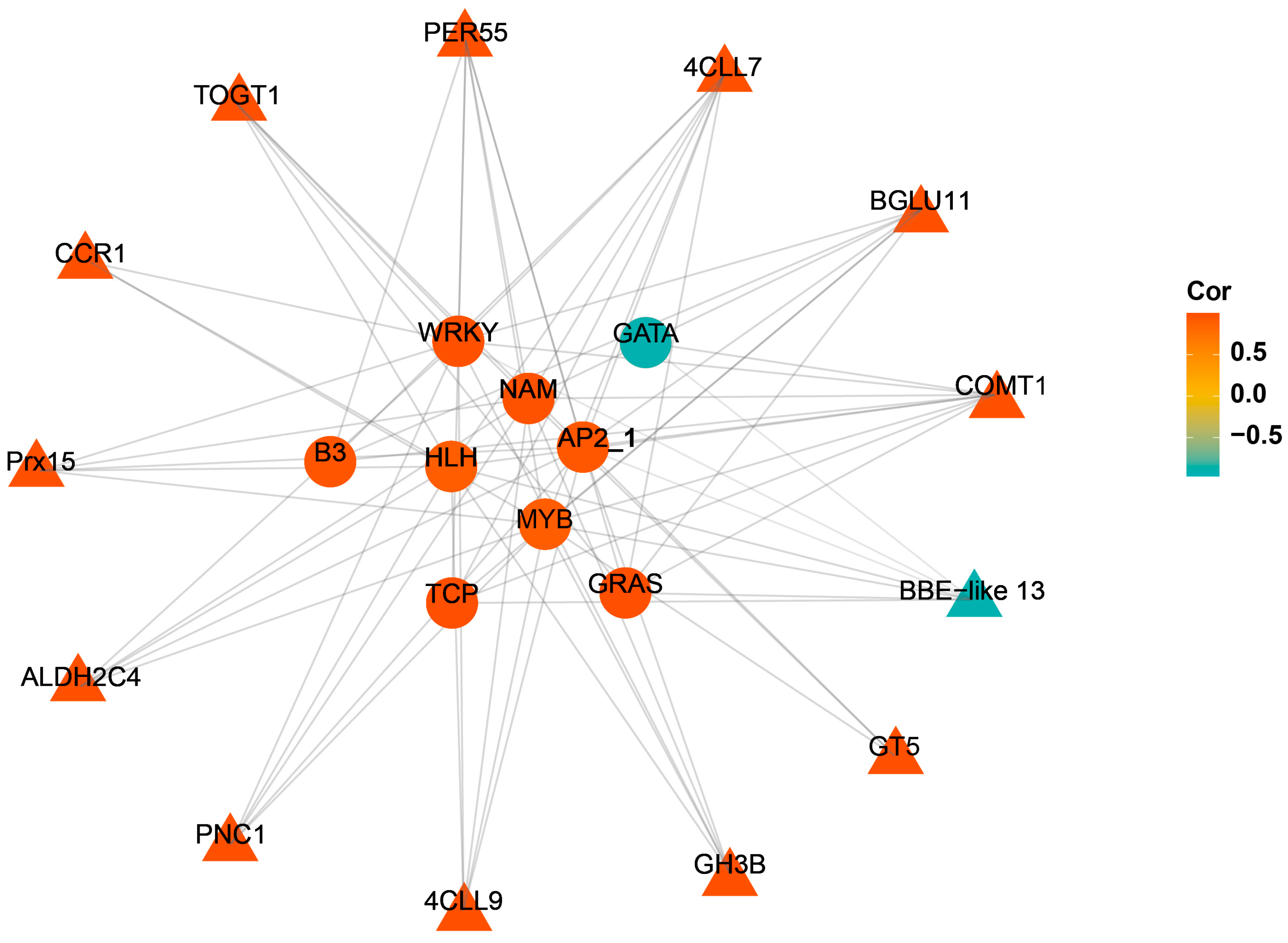 Forests 13 01258 g004