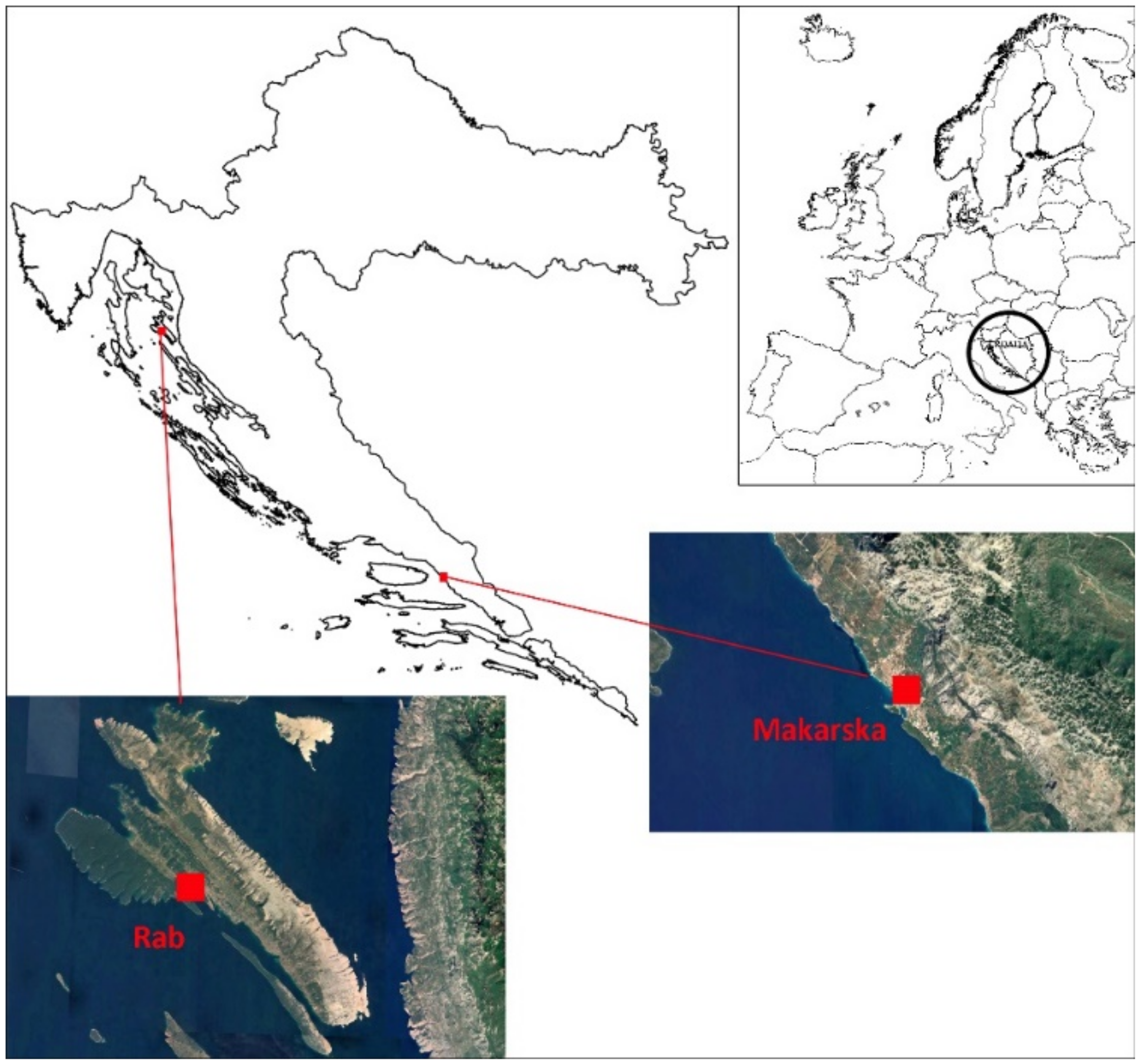 Forests 13 01266 g001