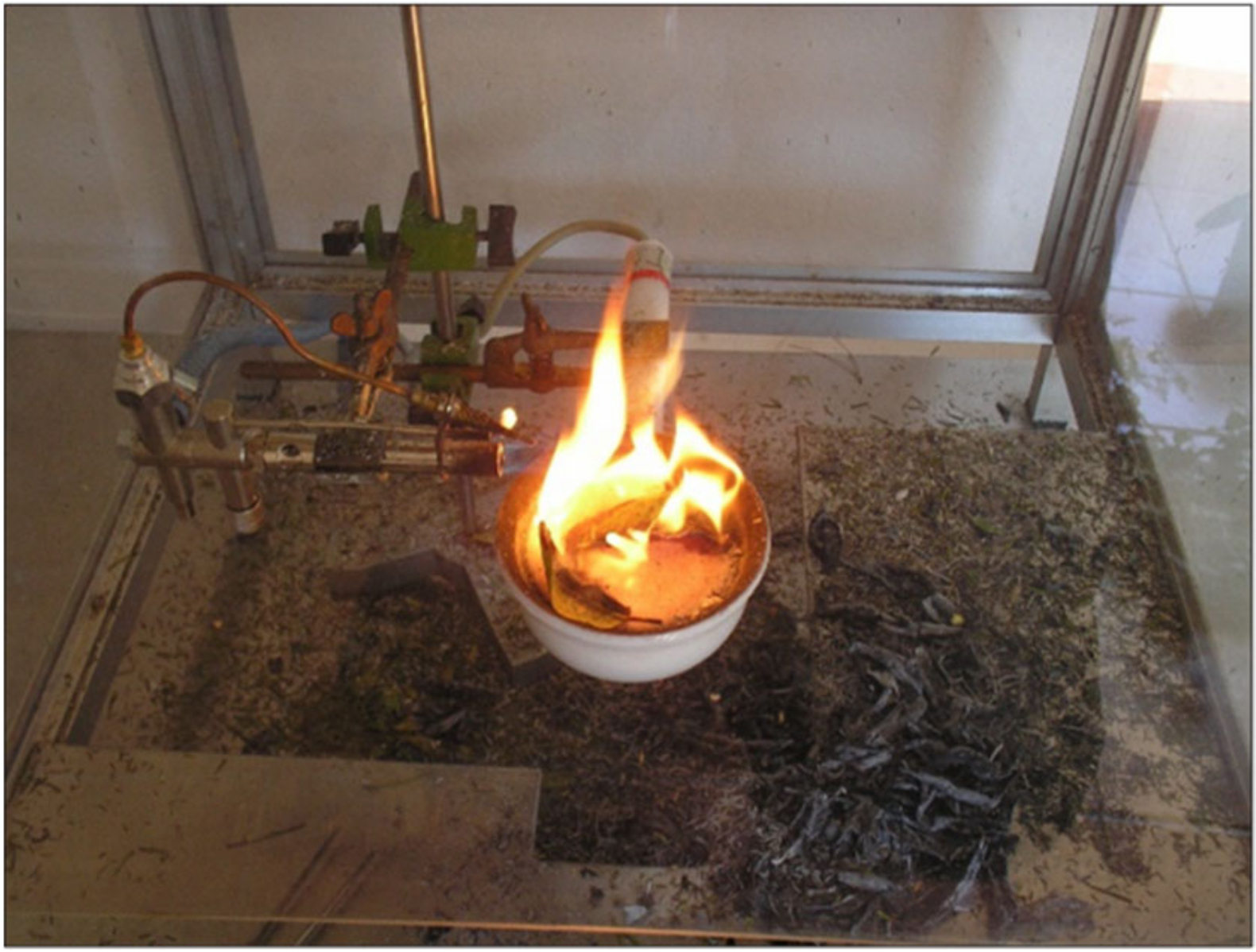 Forests 13 01266 g002