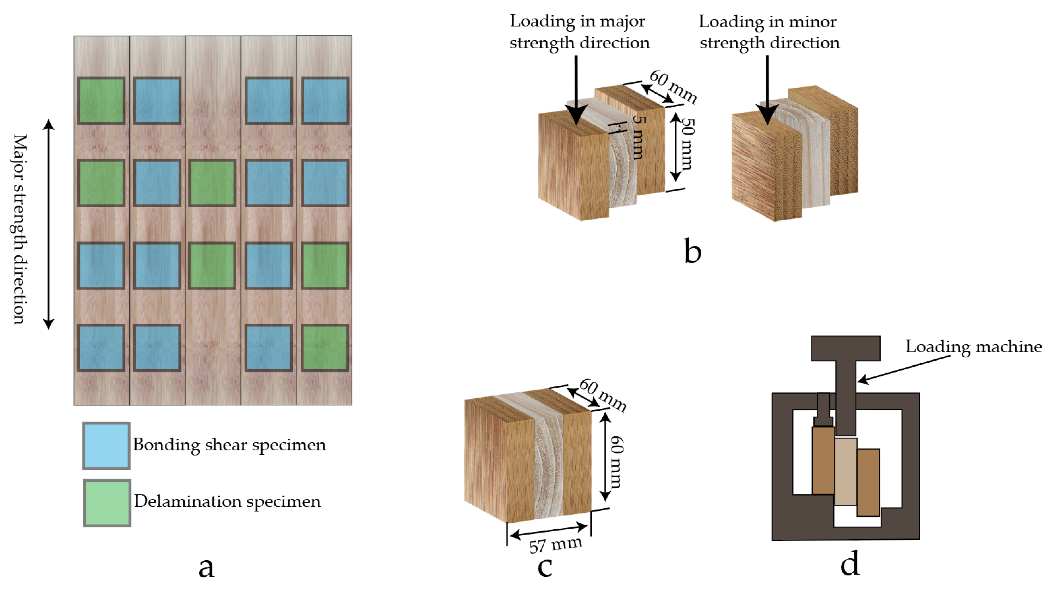 Forests 13 01271 g002