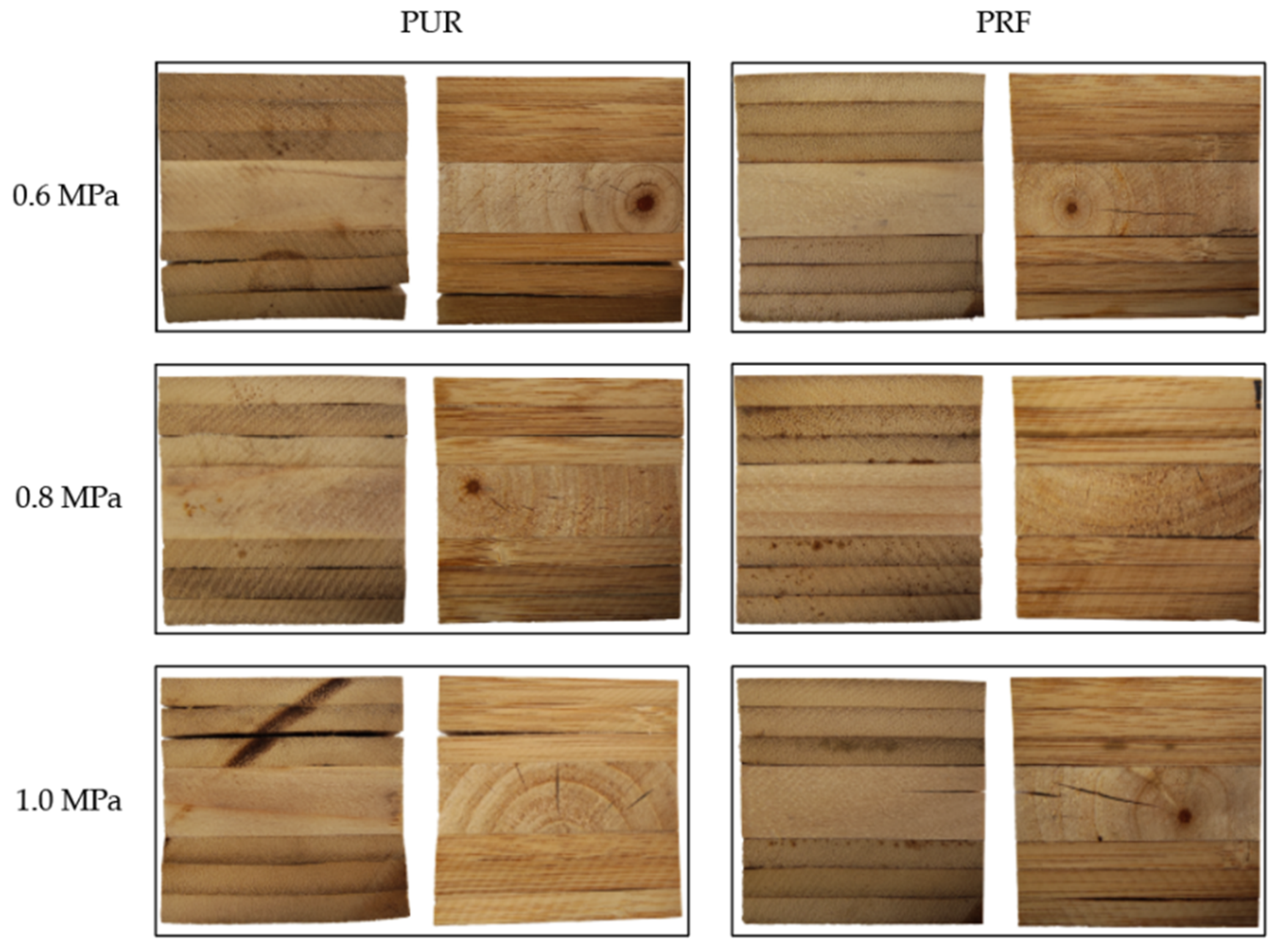 Forests 13 01271 g006