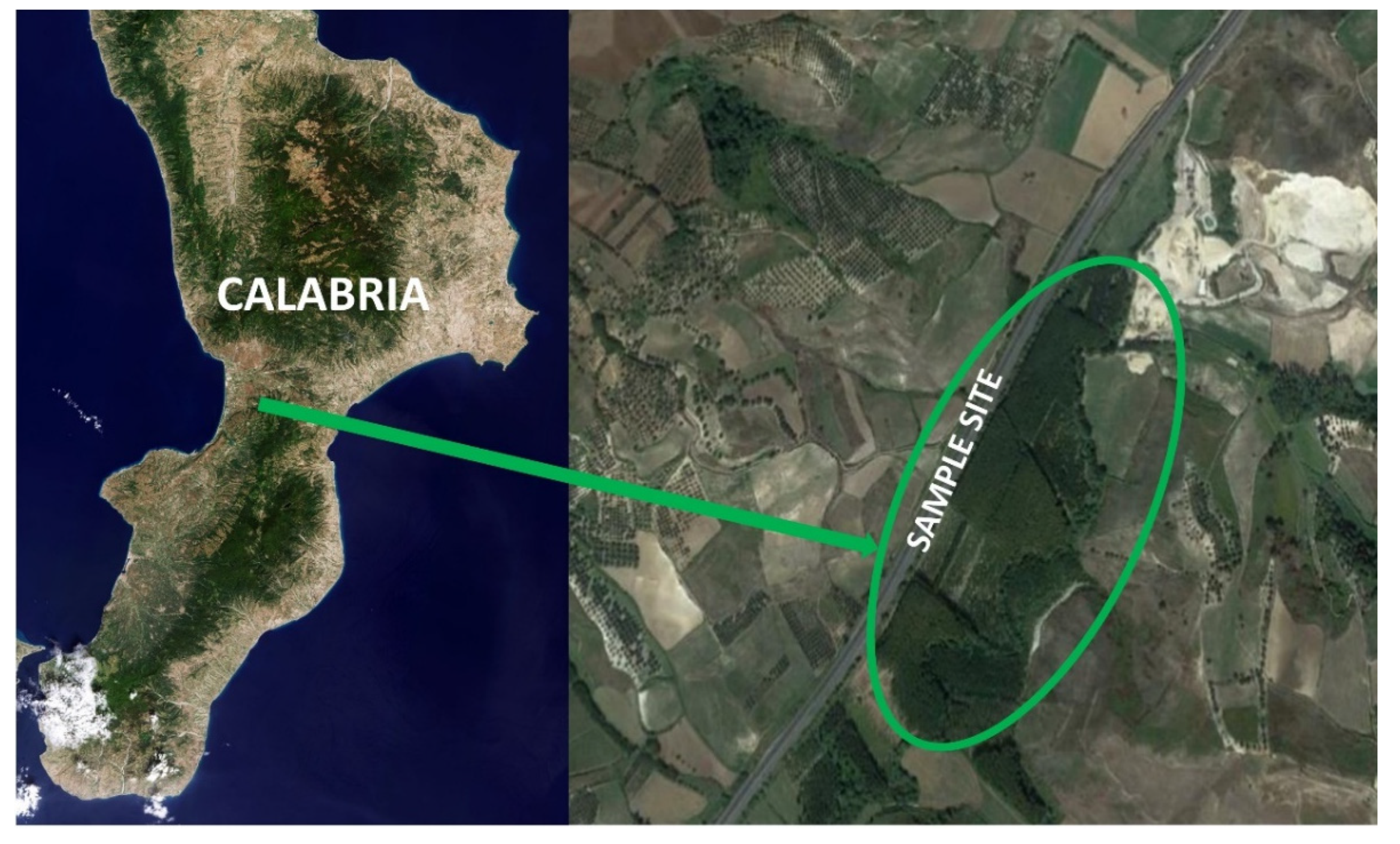 Forests 13 01273 g001