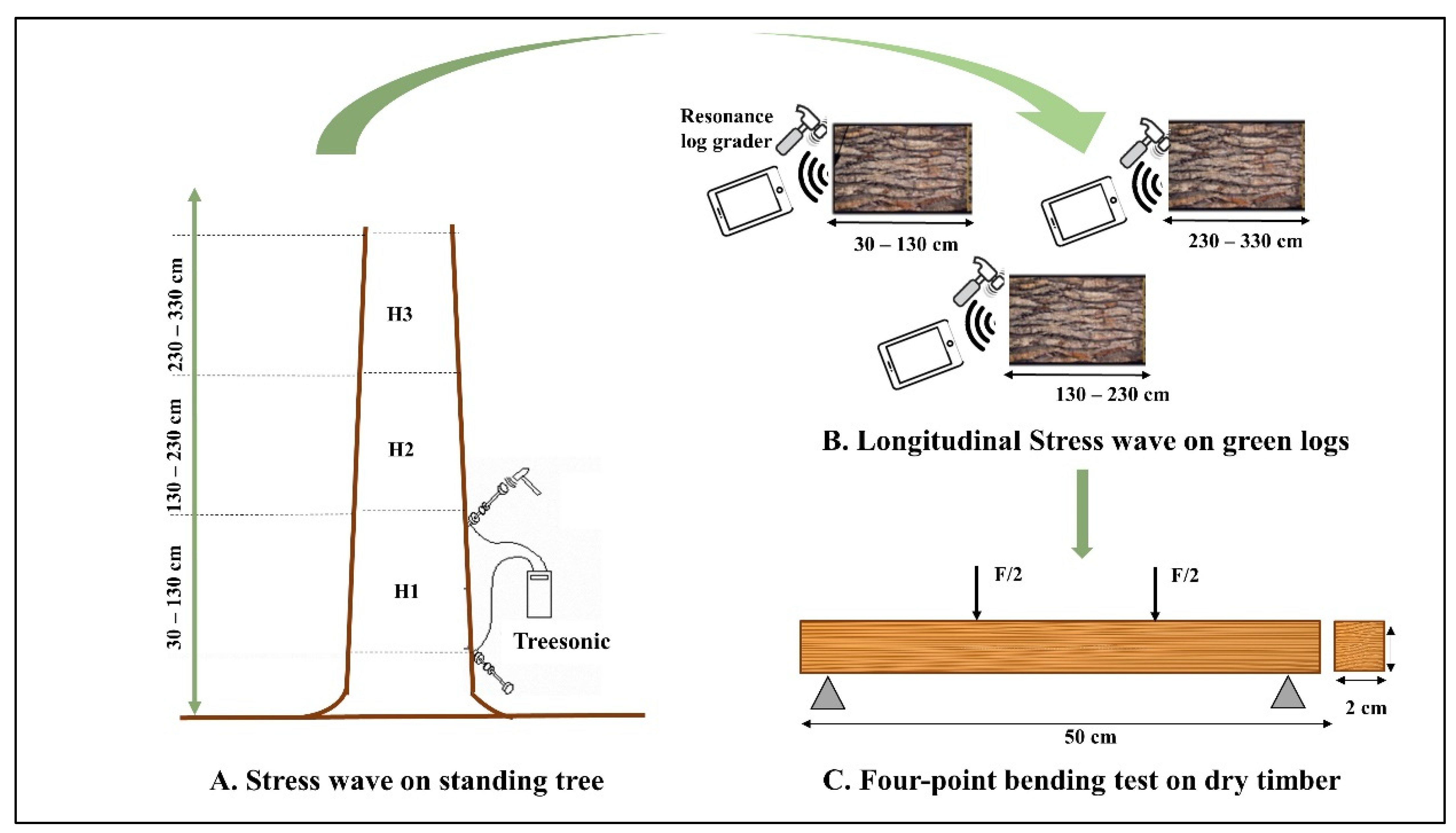 Forests 13 01273 g002