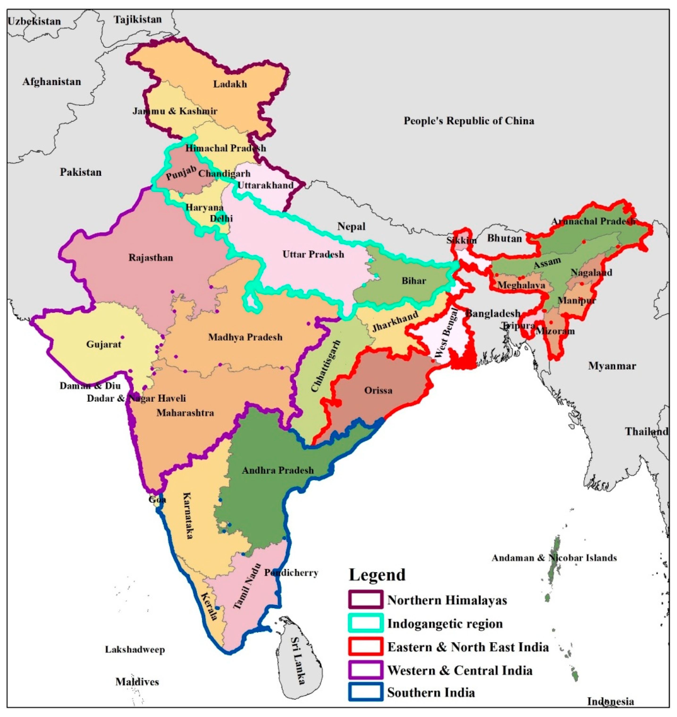 Forests 13 01274 g001