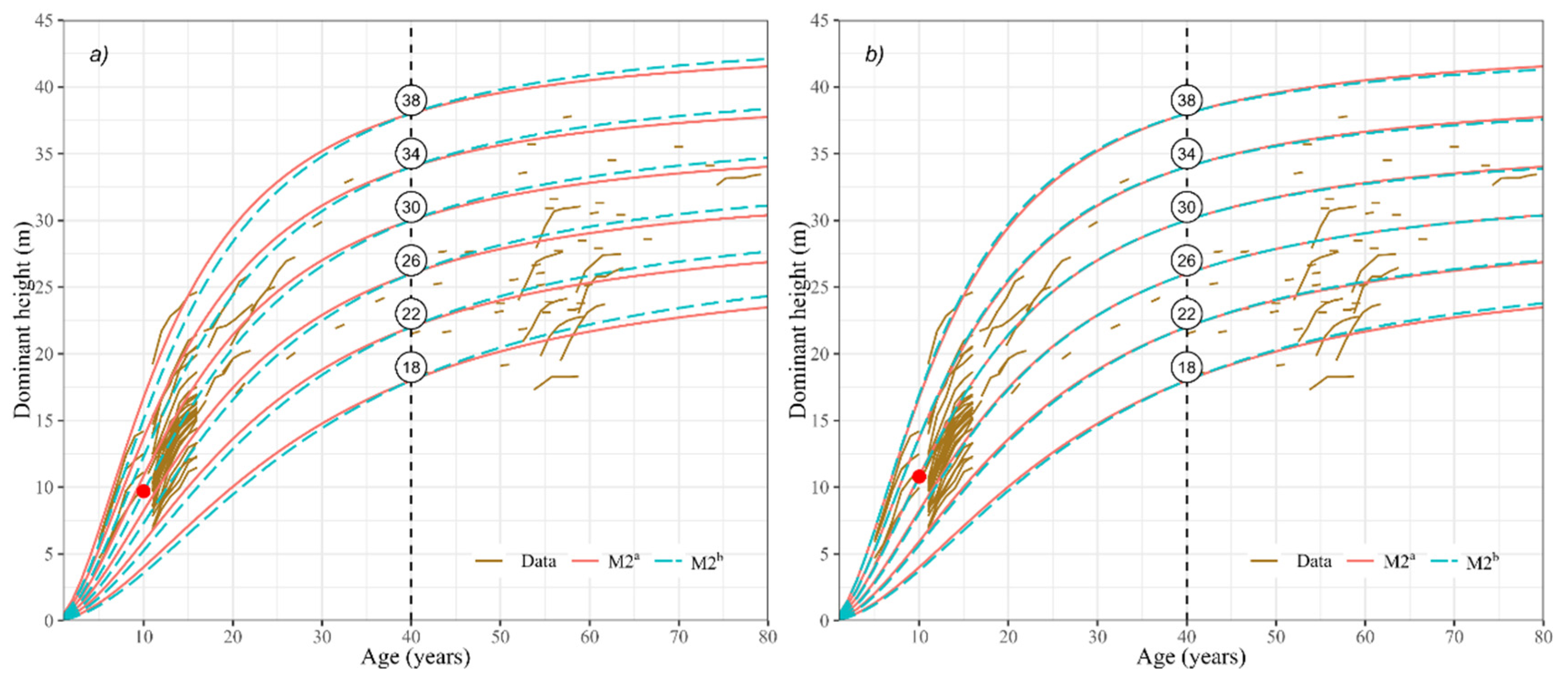 Forests 13 01277 g004