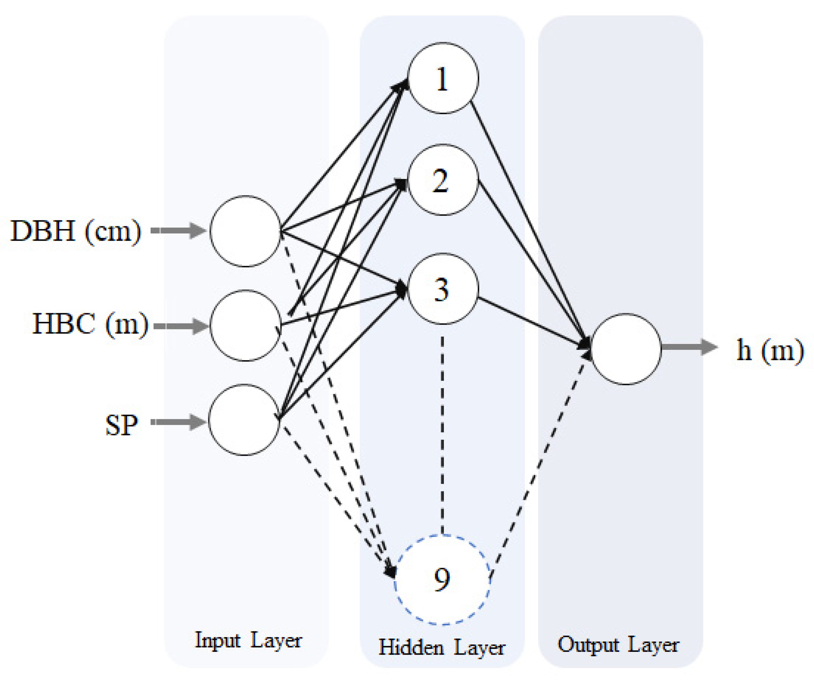Forests 13 01284 g003
