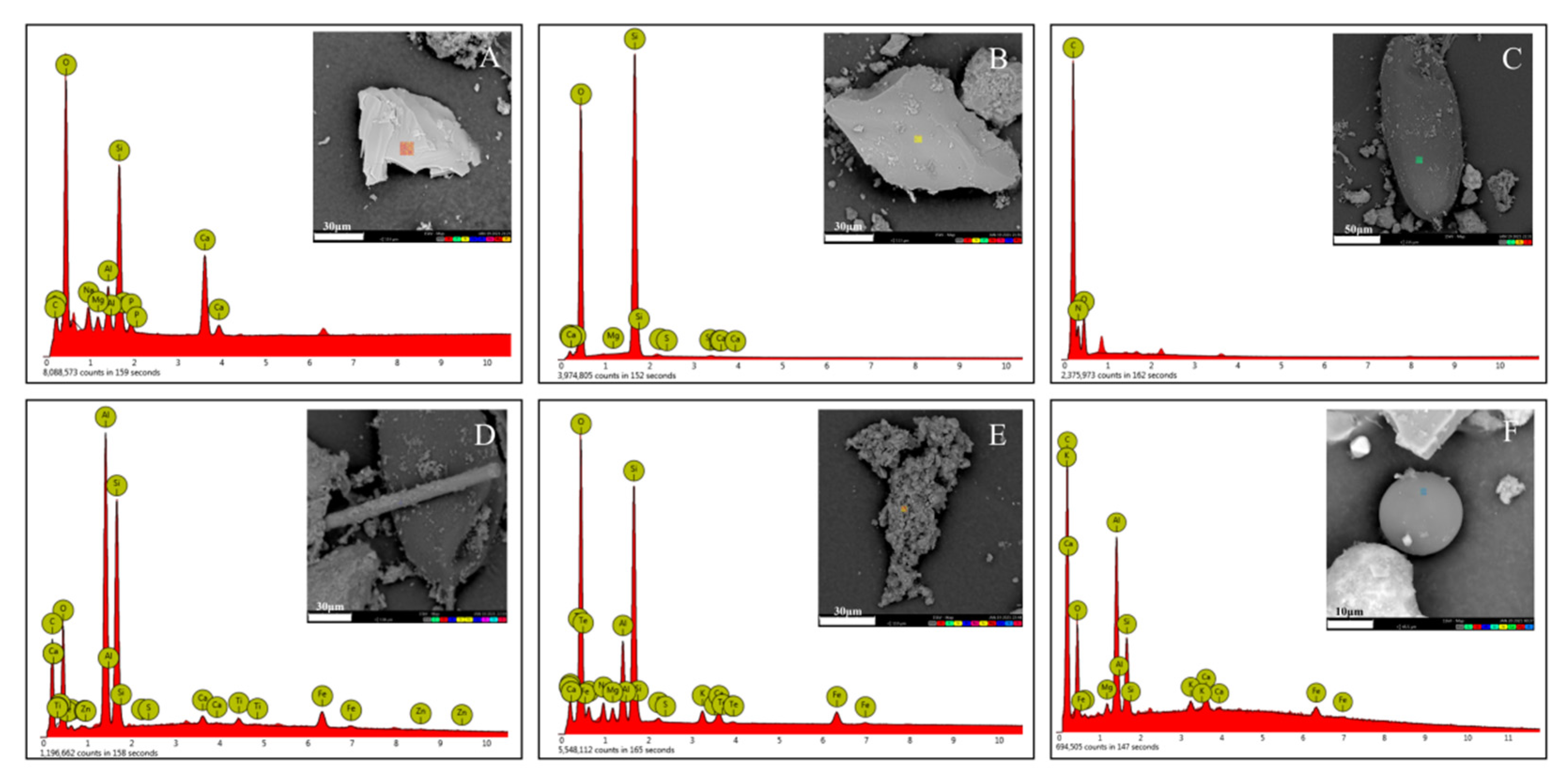 Forests 13 01290 g001