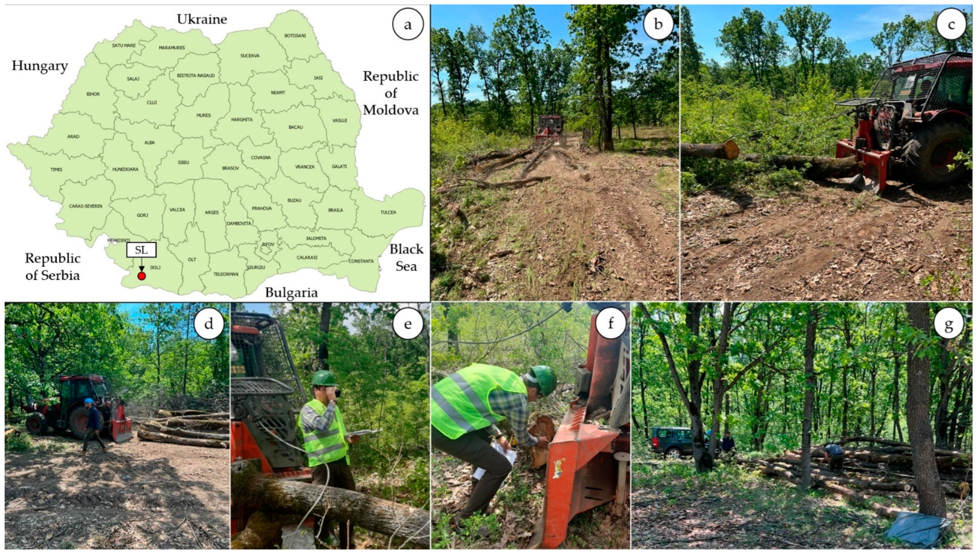 Forests 13 01294 g001