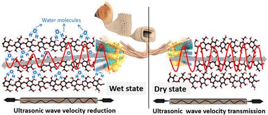 Forests 13 01296 g001