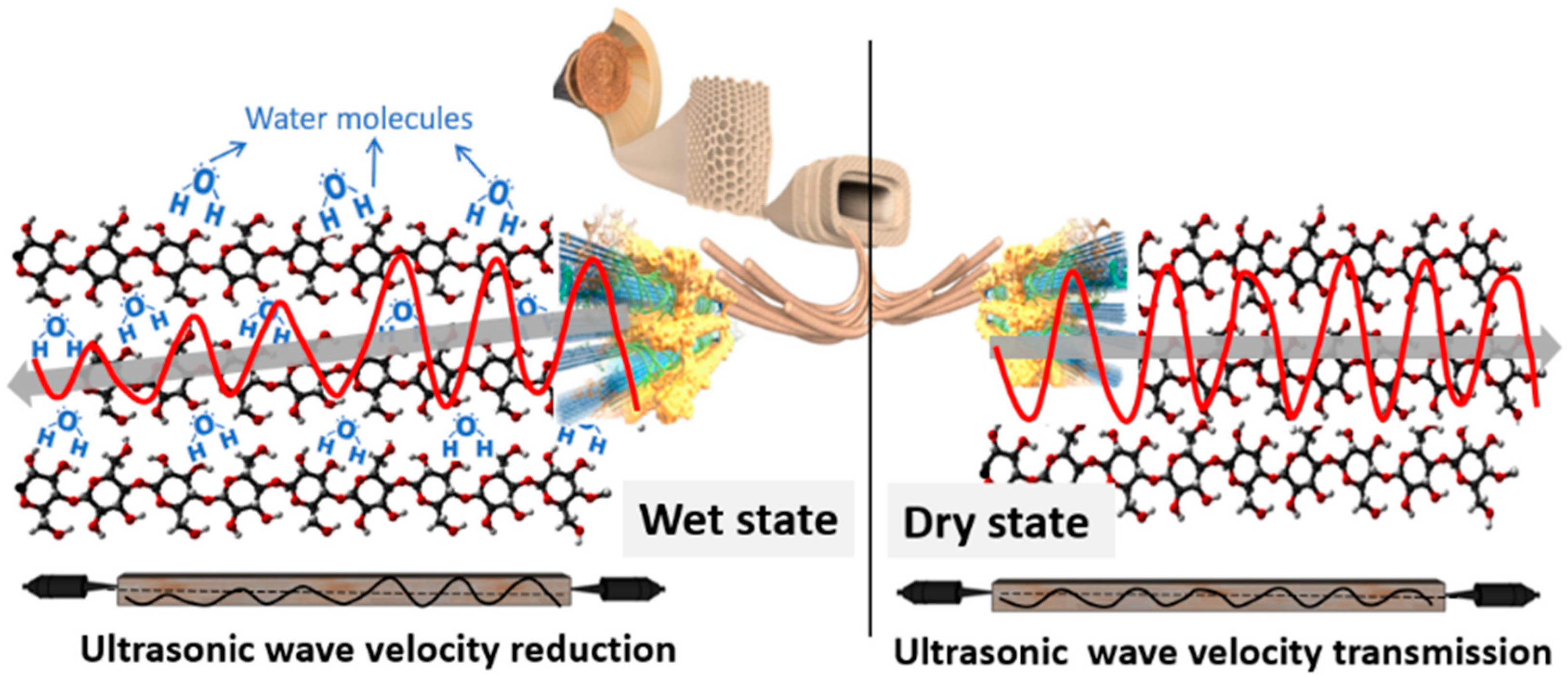 Forests 13 01296 g001