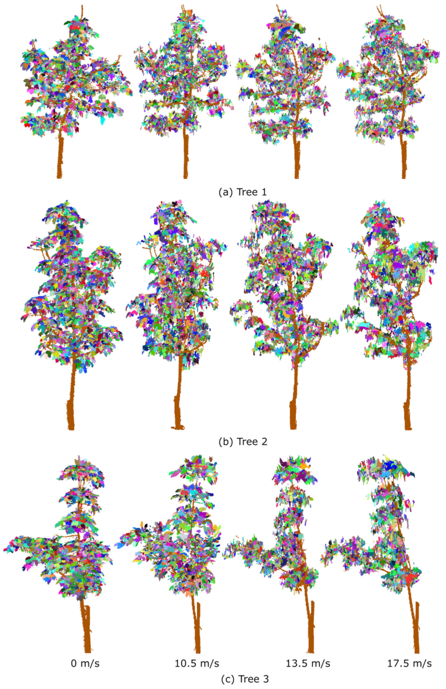 Forests 13 01298 g005