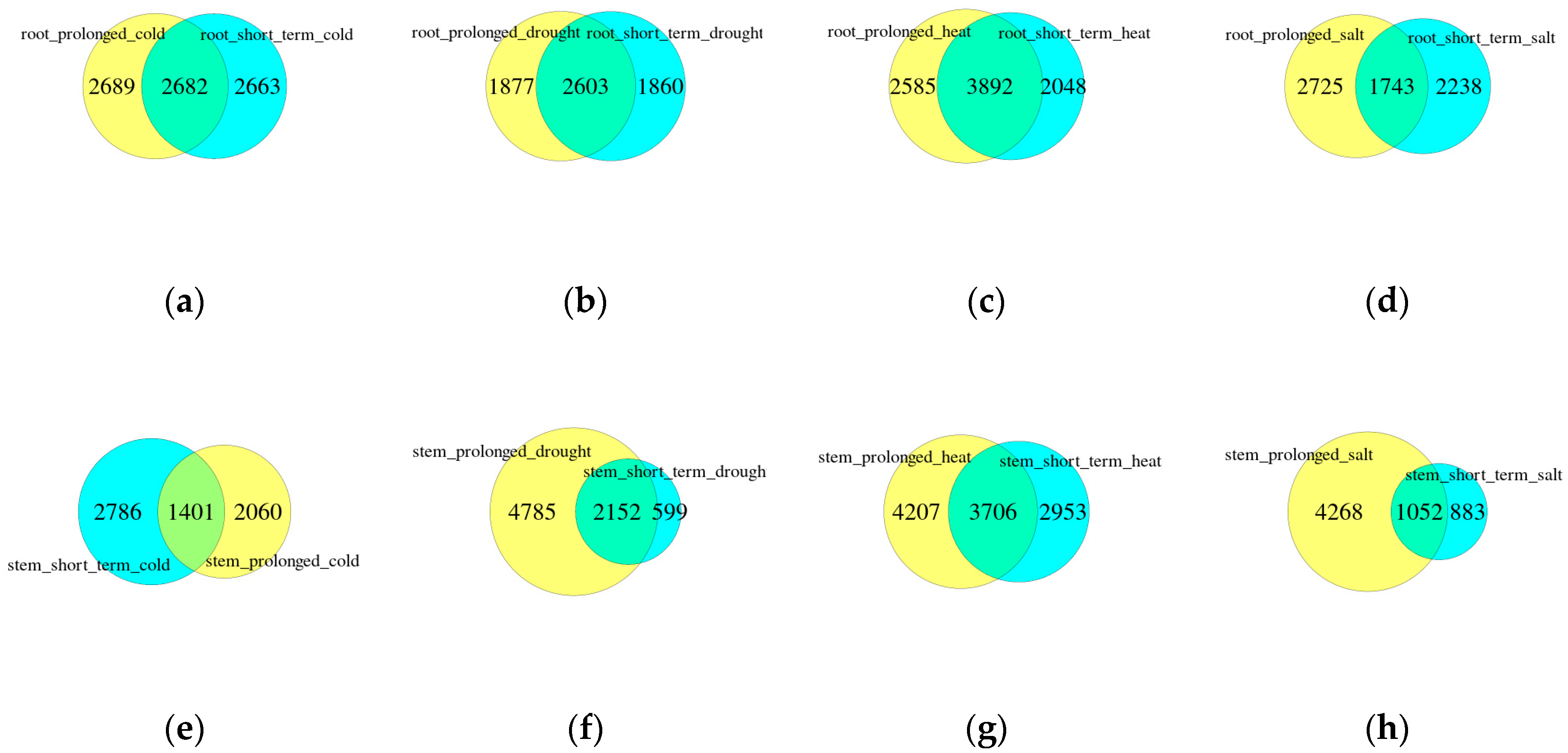 Forests 13 01300 g002