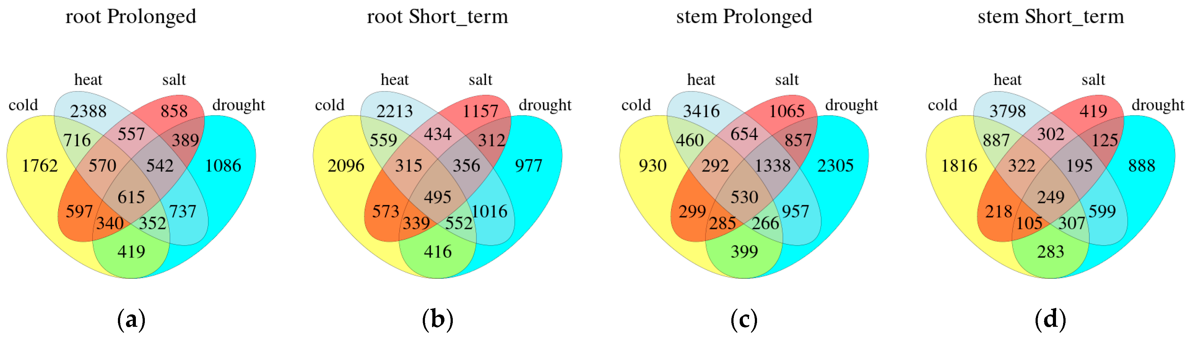 Forests 13 01300 g003
