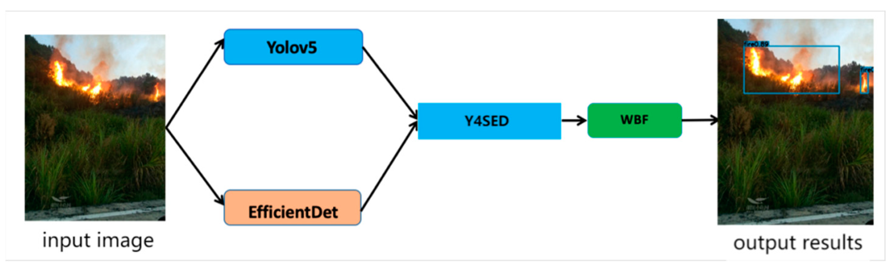 Forests 13 01301 g004