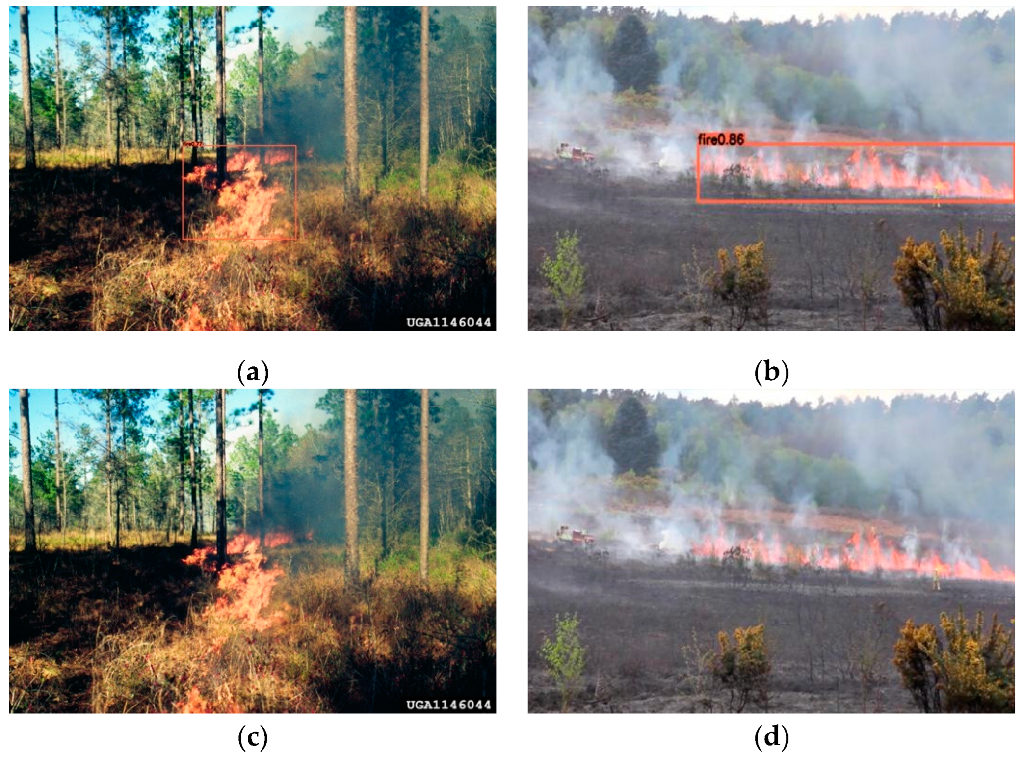 Forests 13 01301 g005