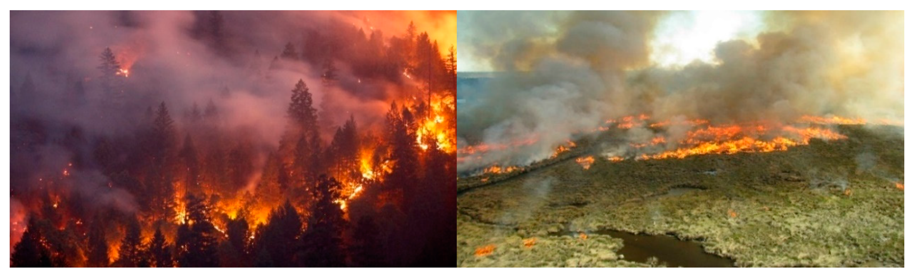 Forests 13 01302 g001