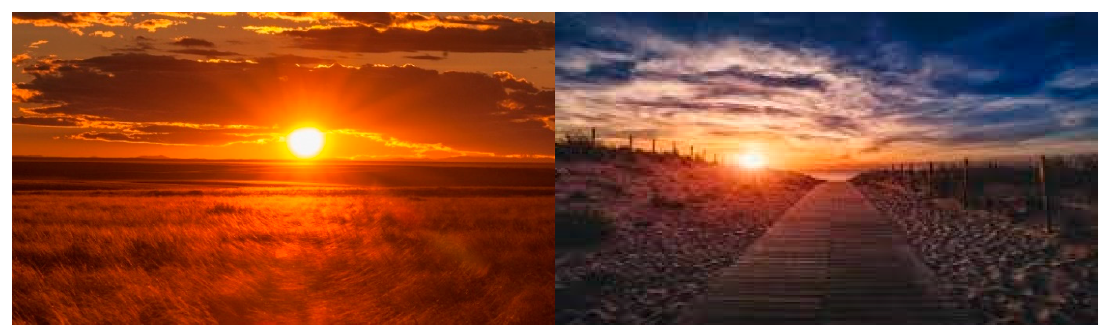 Forests 13 01302 g003